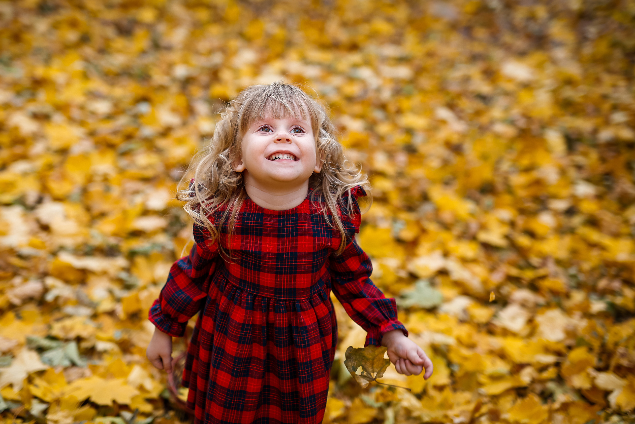 Роща Баума. Осенняя фотопрогулка. Отбасылық фотограф Алена Шаталова