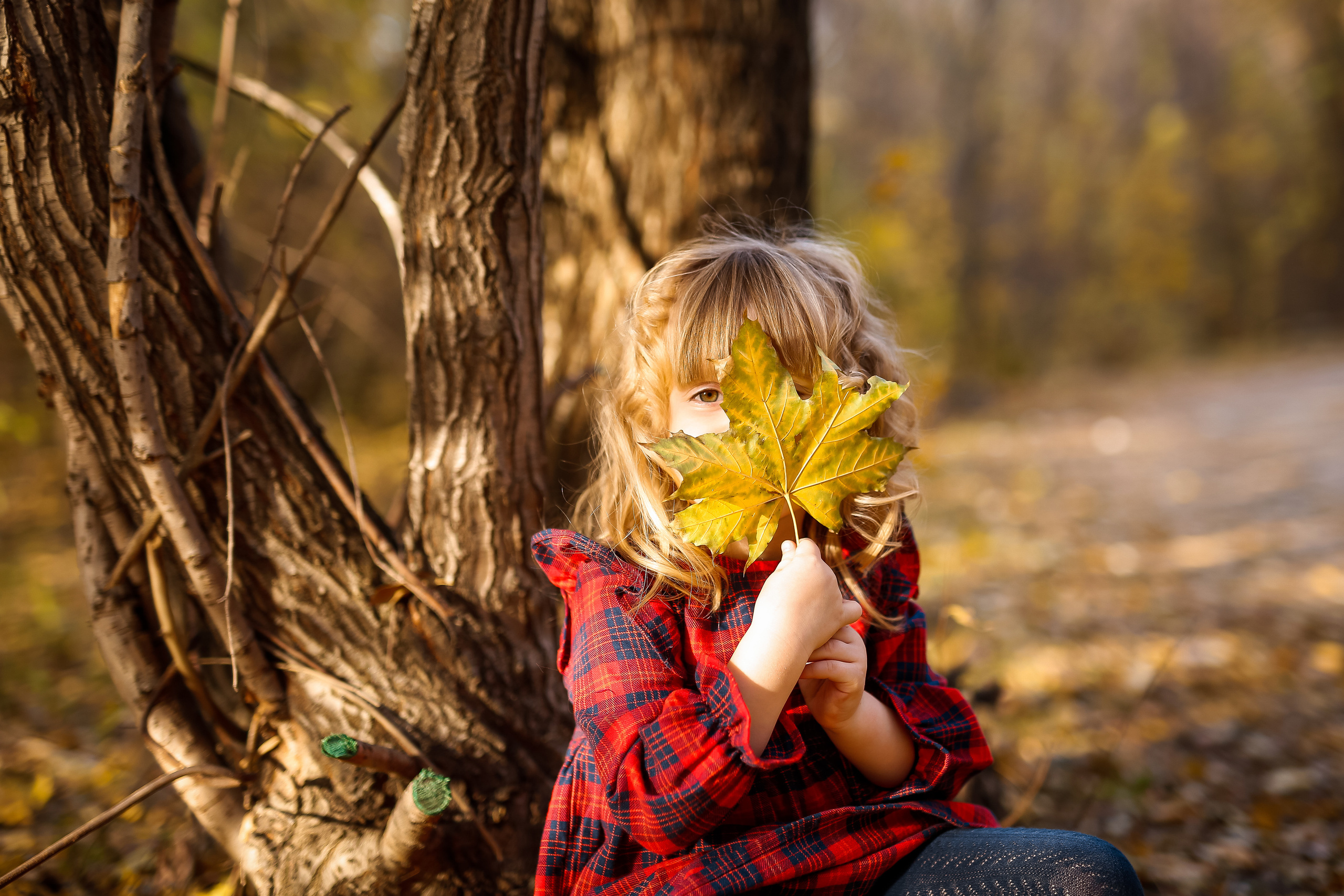 Роща Баума. Осенняя фотопрогулка. Отбасылық фотограф Алена Шаталова