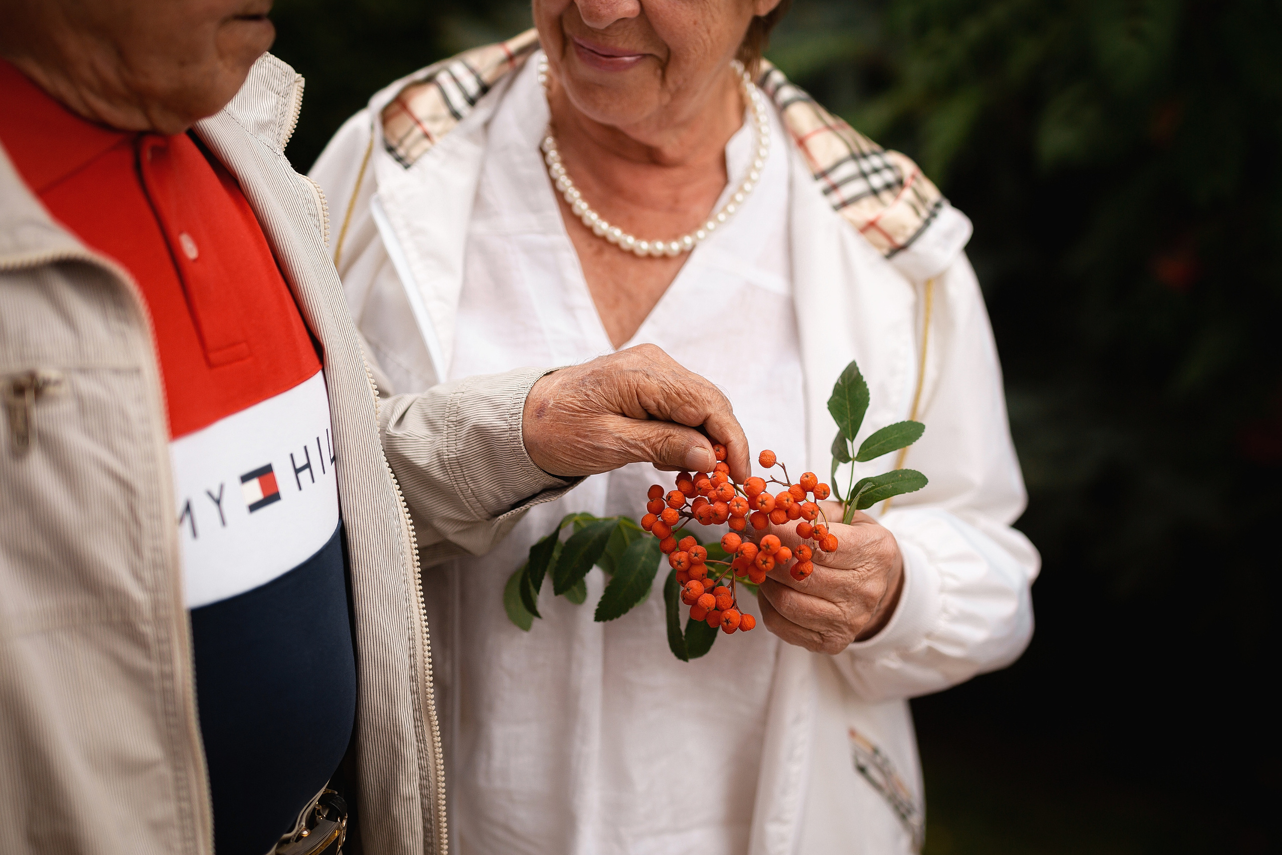 Моя рябина. Отбасылық фотограф Алена Шаталова