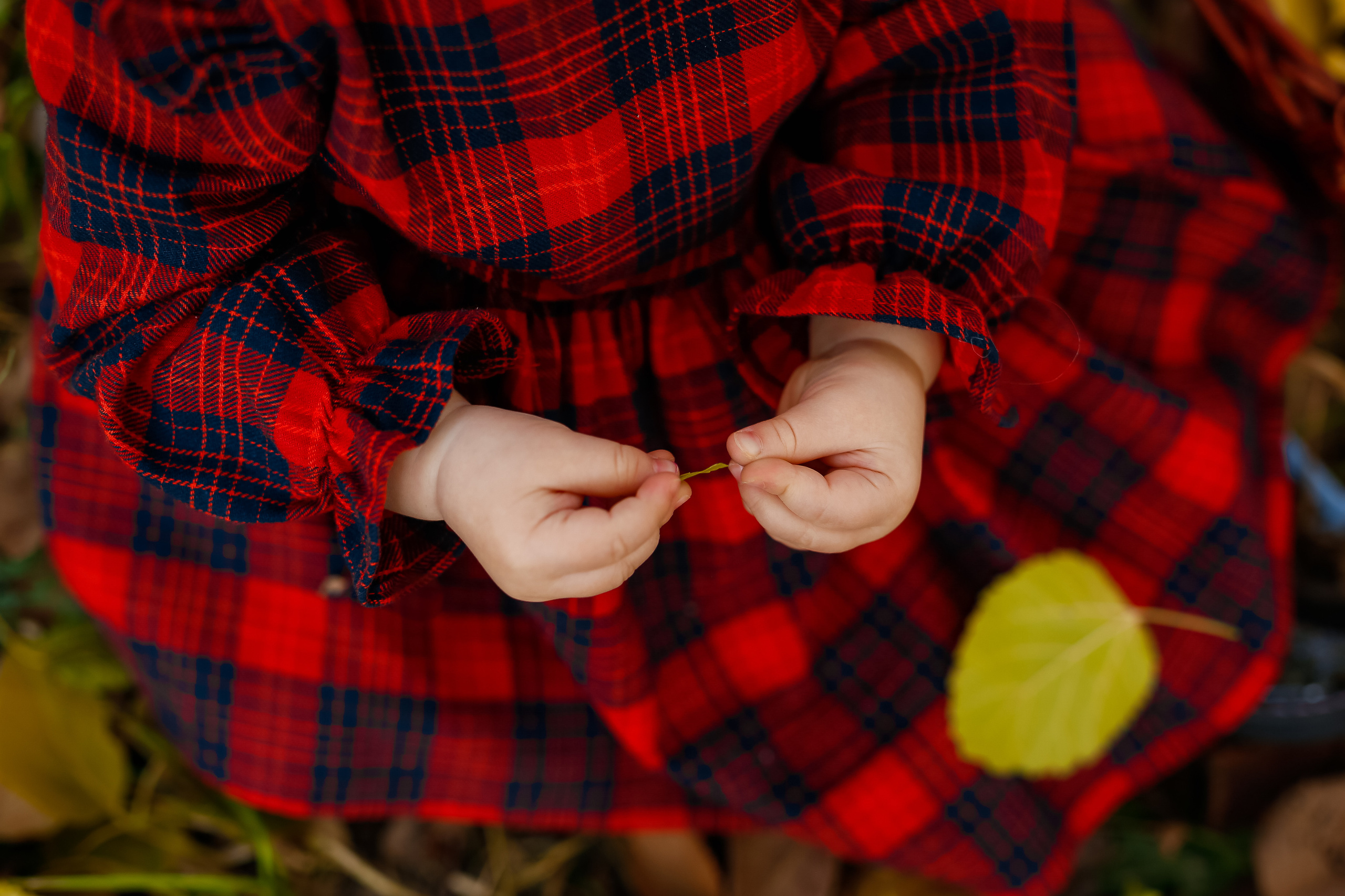 Роща Баума. Осенняя фотопрогулка. Отбасылық фотограф Алена Шаталова