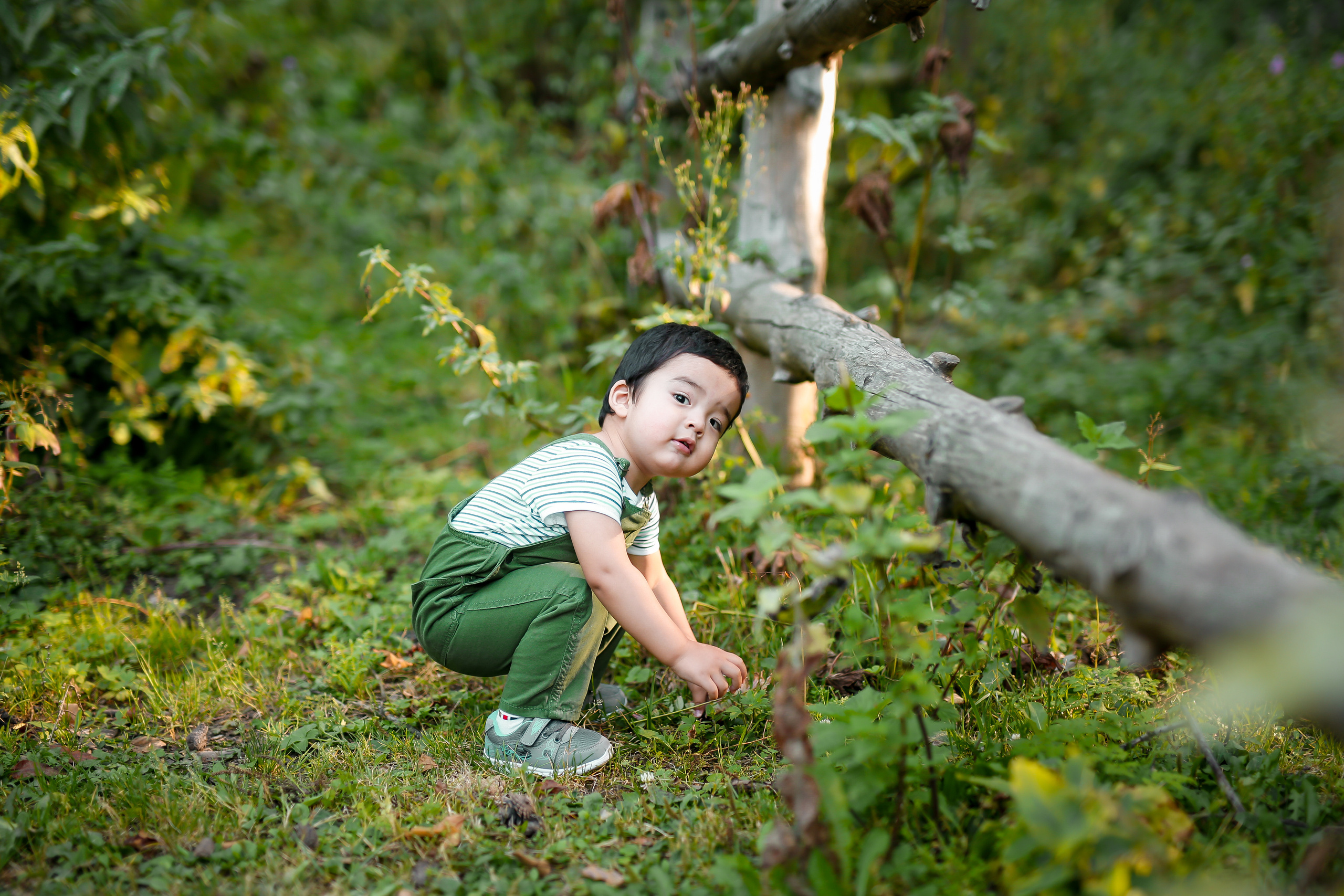 Ак-кайын. Осенняя фотопрогулка. Отбасылық фотограф Алена Шаталова