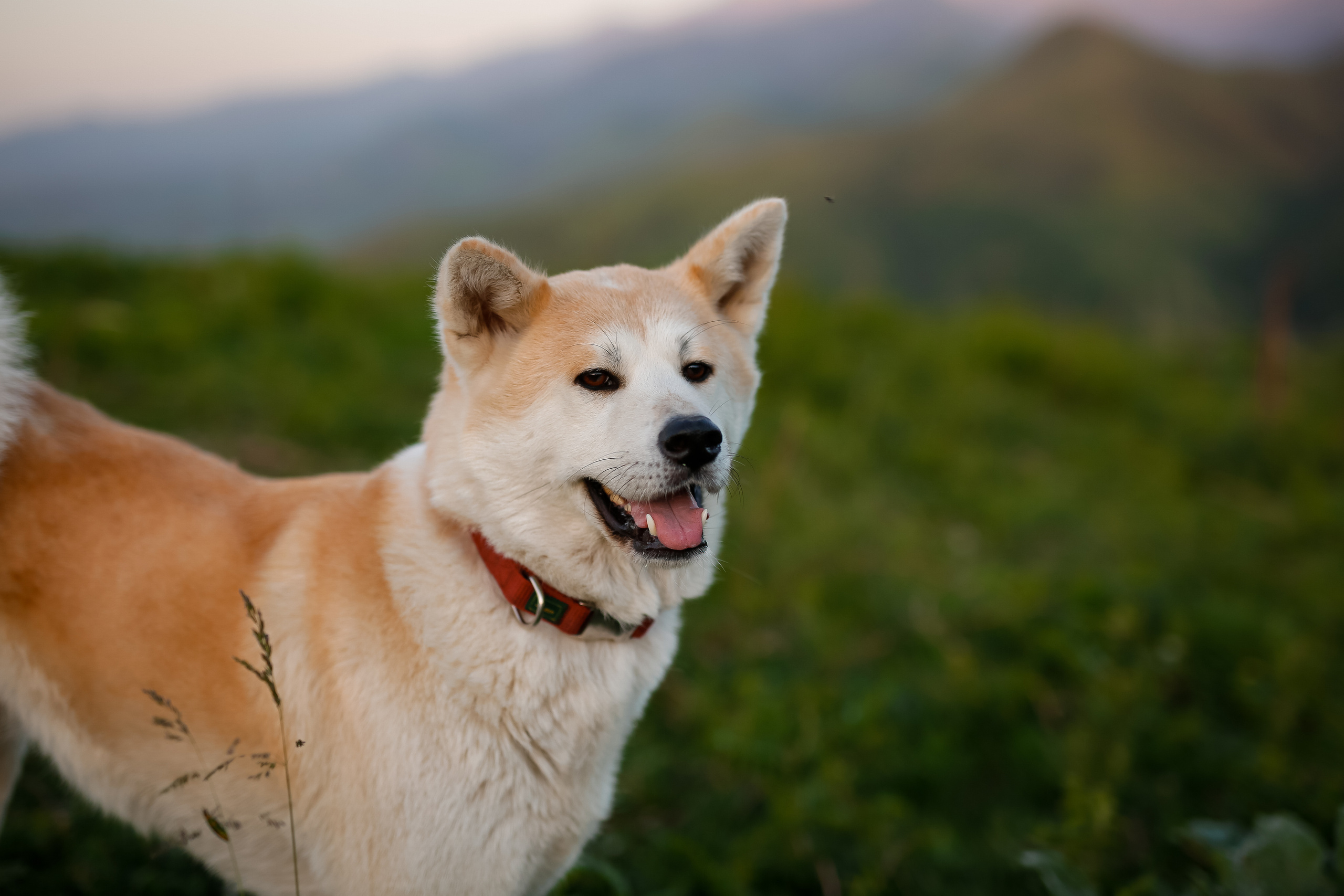 Маралсай. Весенняя фотопрогулка. Отбасылық фотограф Алена Шаталова