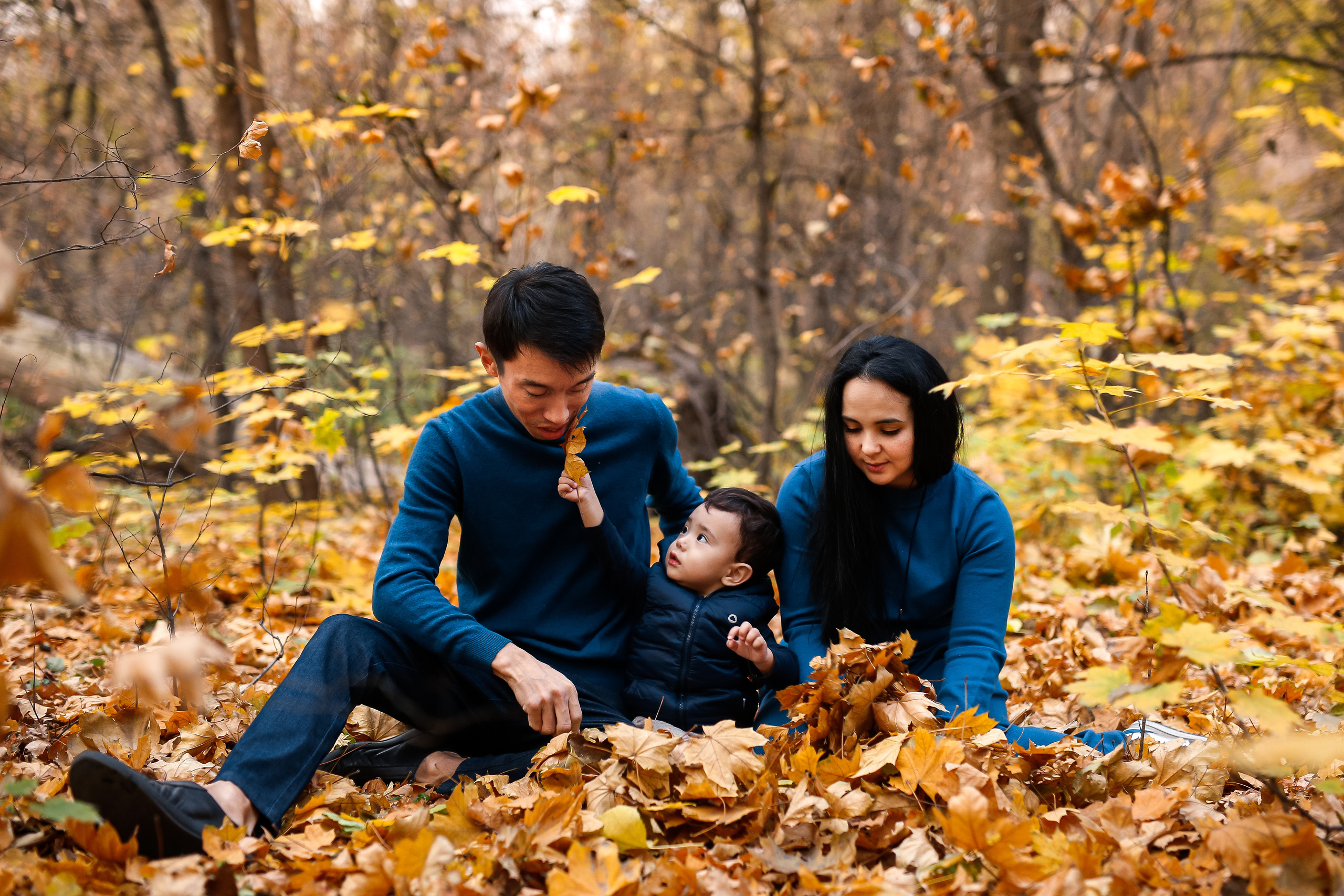 Роща Баума. Осенняя фотопрогулка. Отбасылық фотограф Алена Шаталова