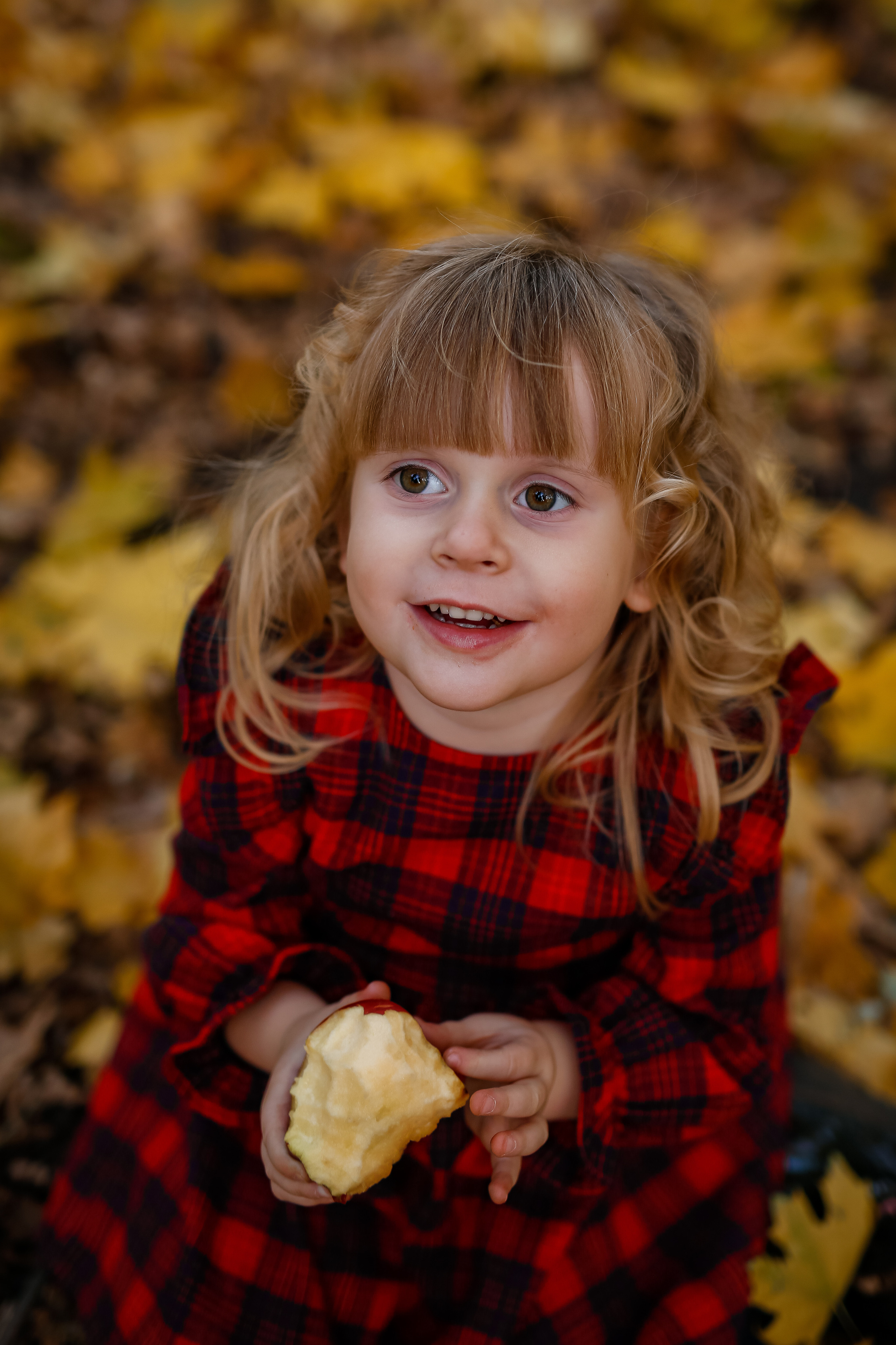 Роща Баума. Осенняя фотопрогулка. Отбасылық фотограф Алена Шаталова