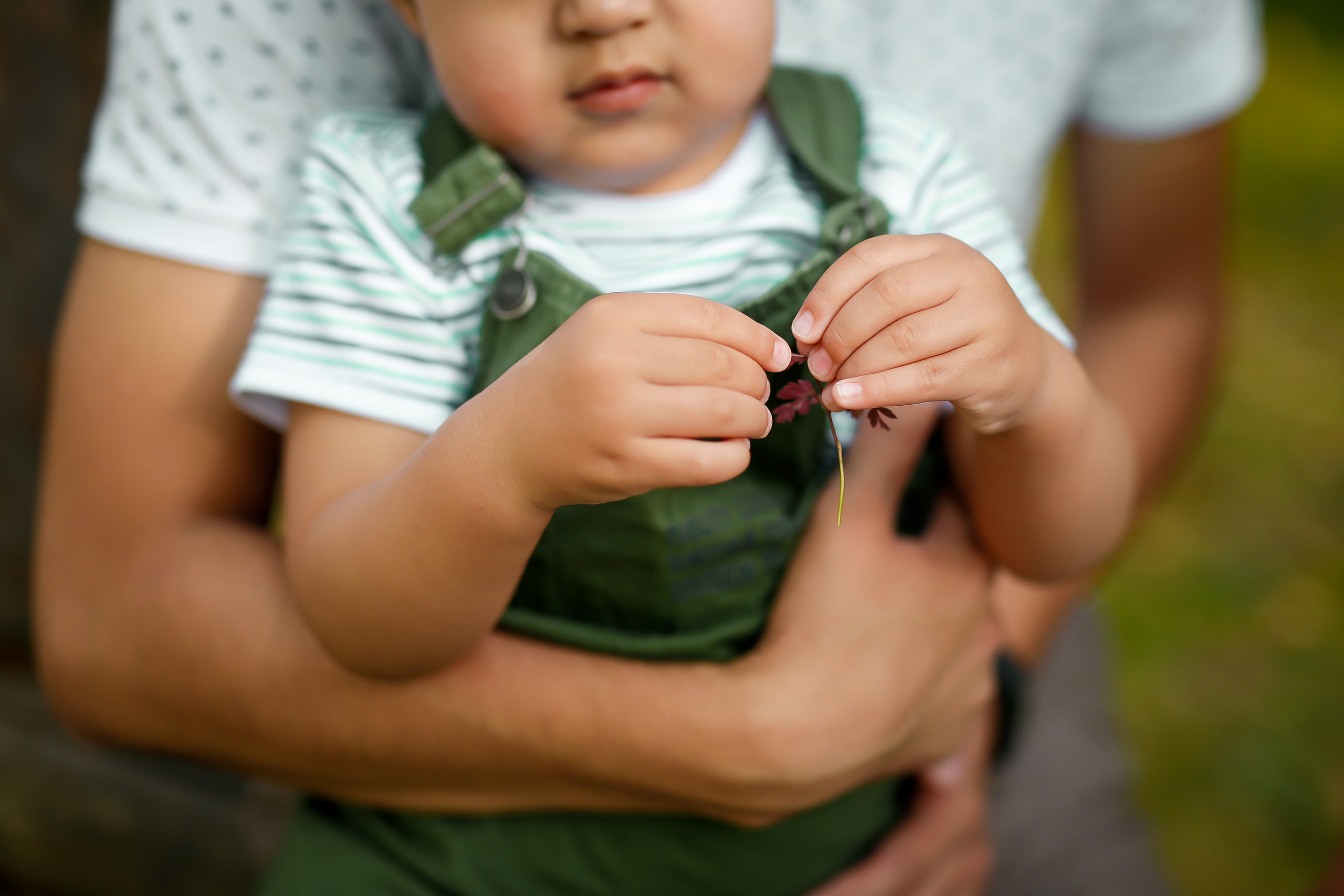 Ак-кайын. Осенняя фотопрогулка. Отбасылық фотограф Алена Шаталова