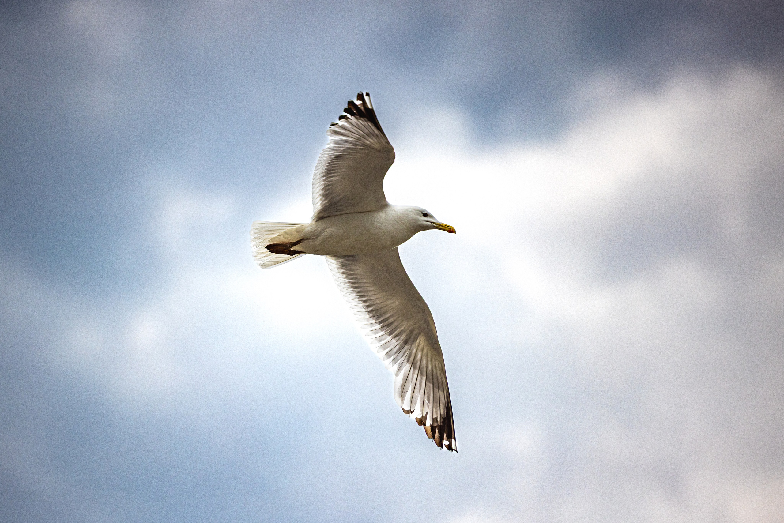 Фотографирую жизнь! Московский фотограф волонтер