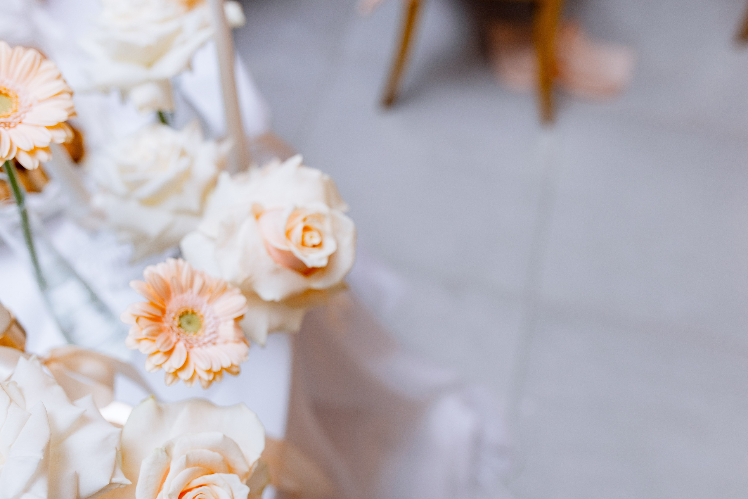 Виктория и Илья. Свадебный фотограф Витебск Минск