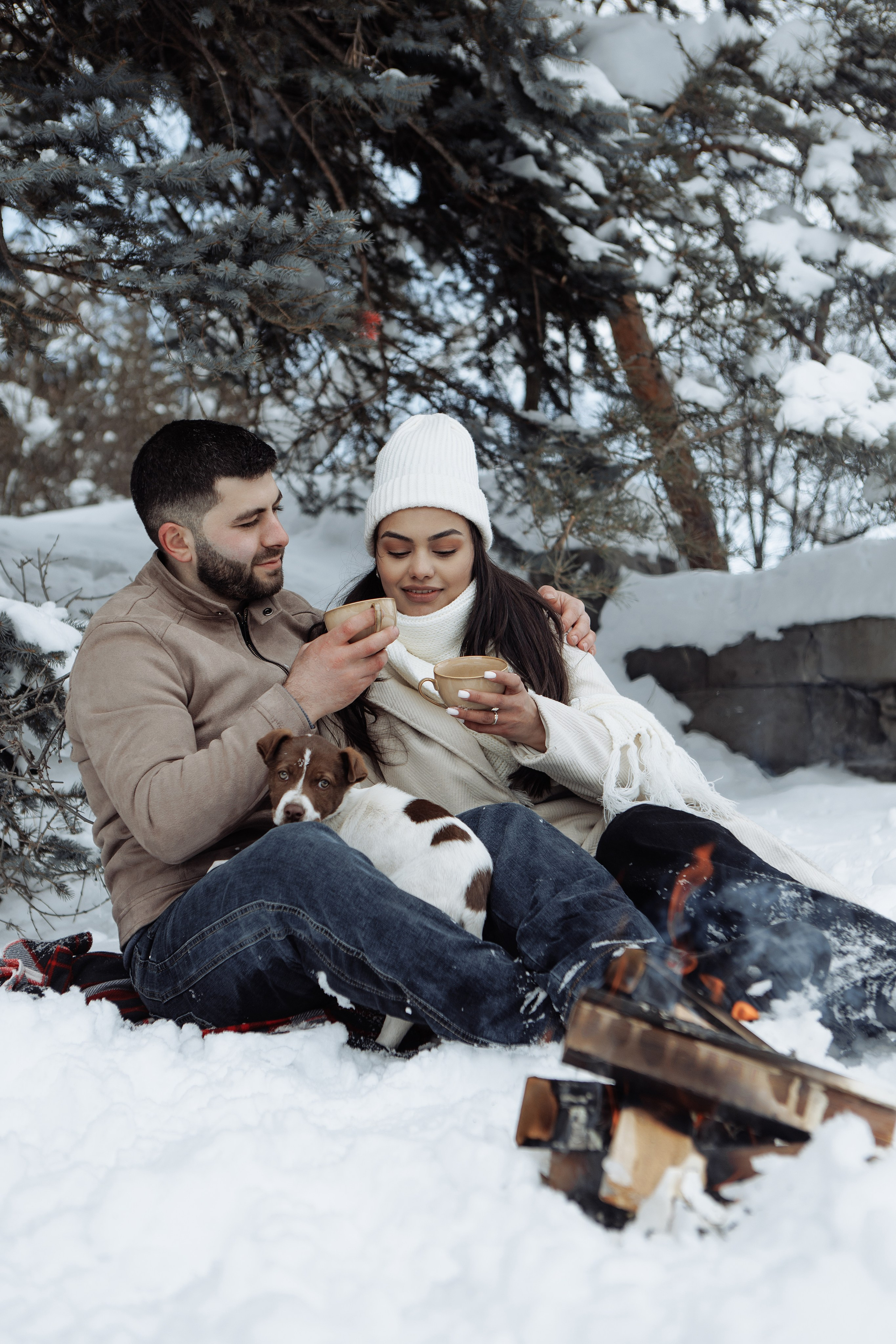 Снежинки. Գլխավոր