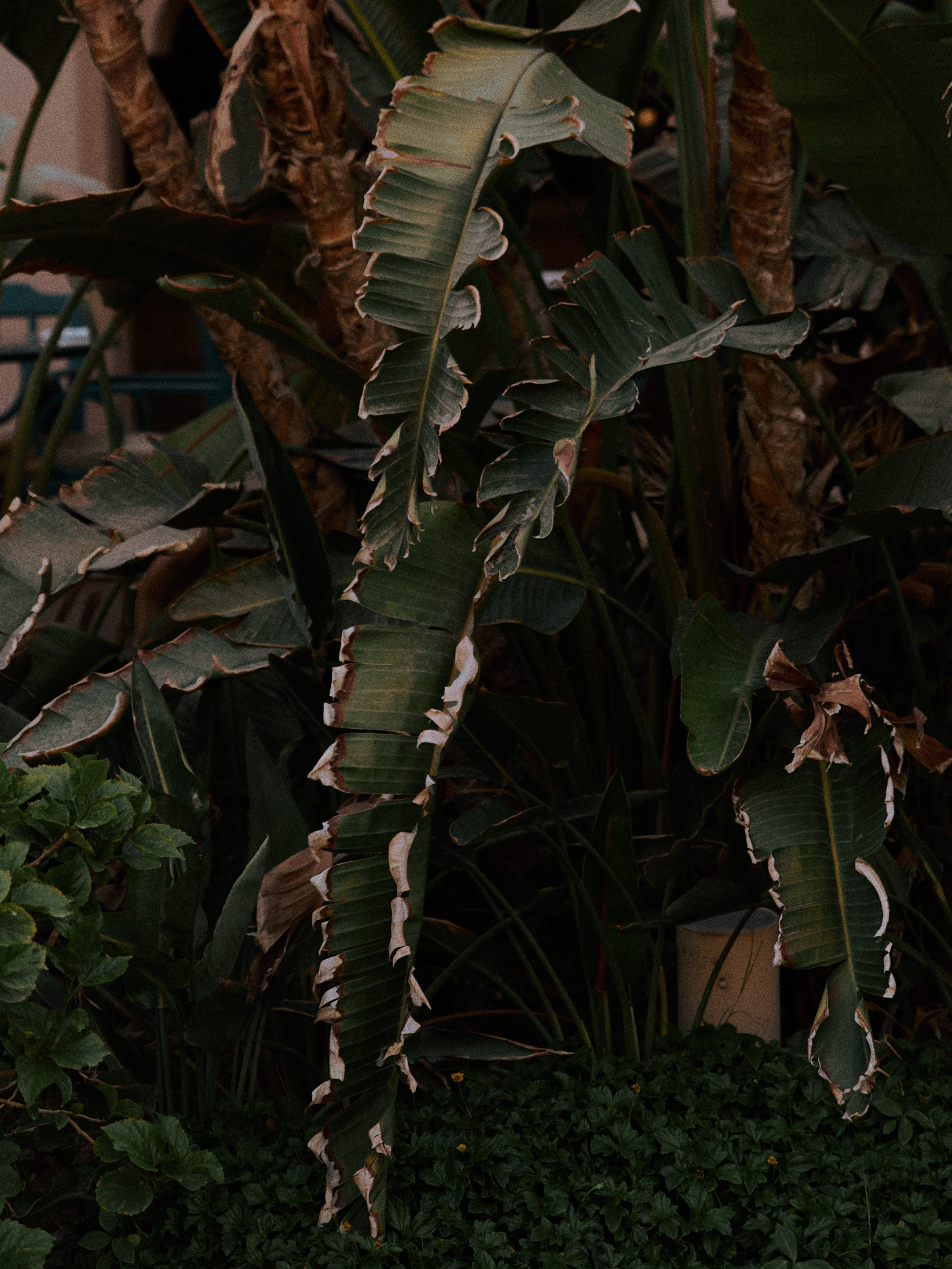 Диптих. Jorgis — фотограф в Хургаде / обучение фотографии