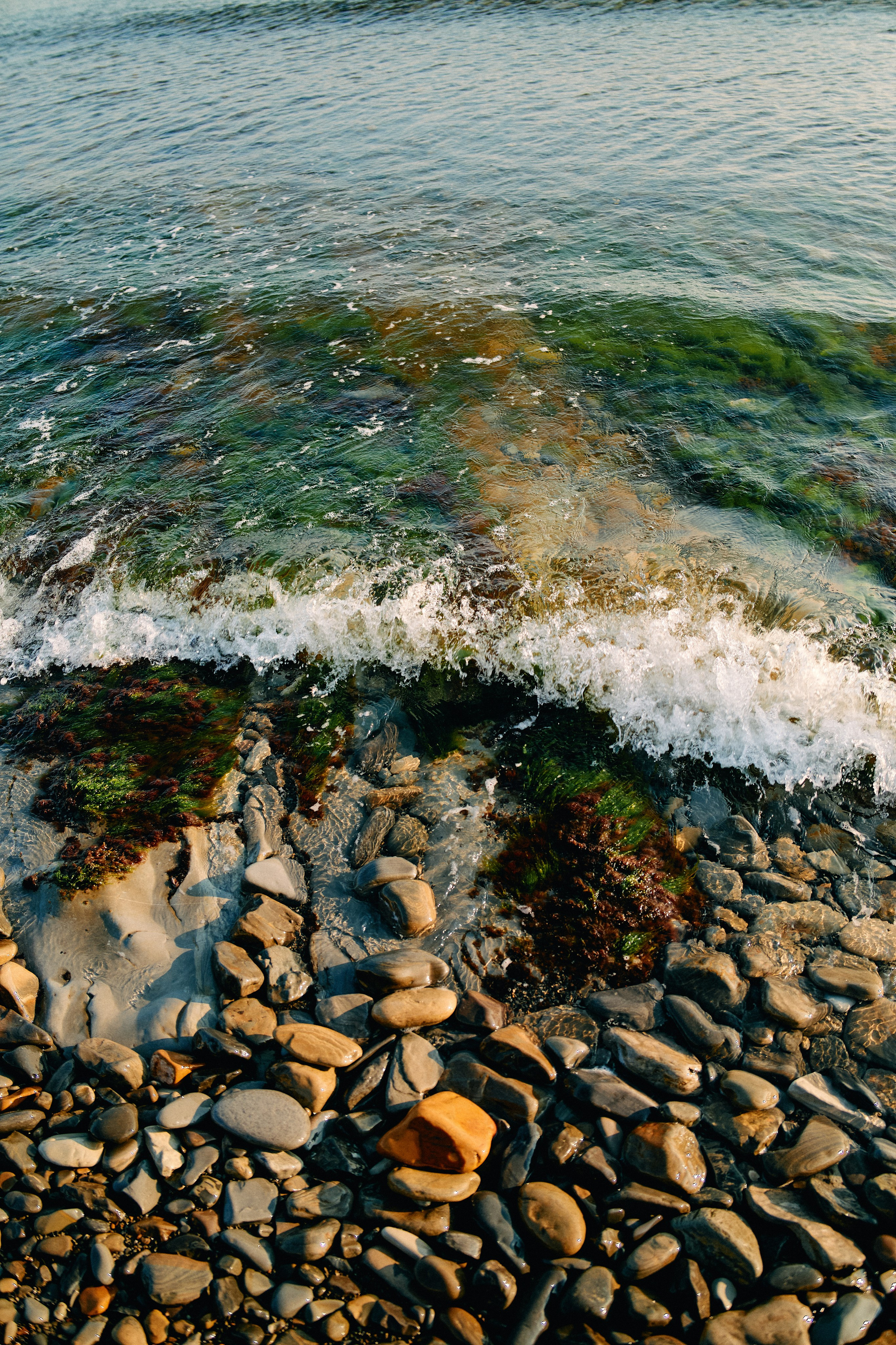 Юг России. Профессиональный Фотограф во Владимире, в Москве и в Суздале — Полина Романычева