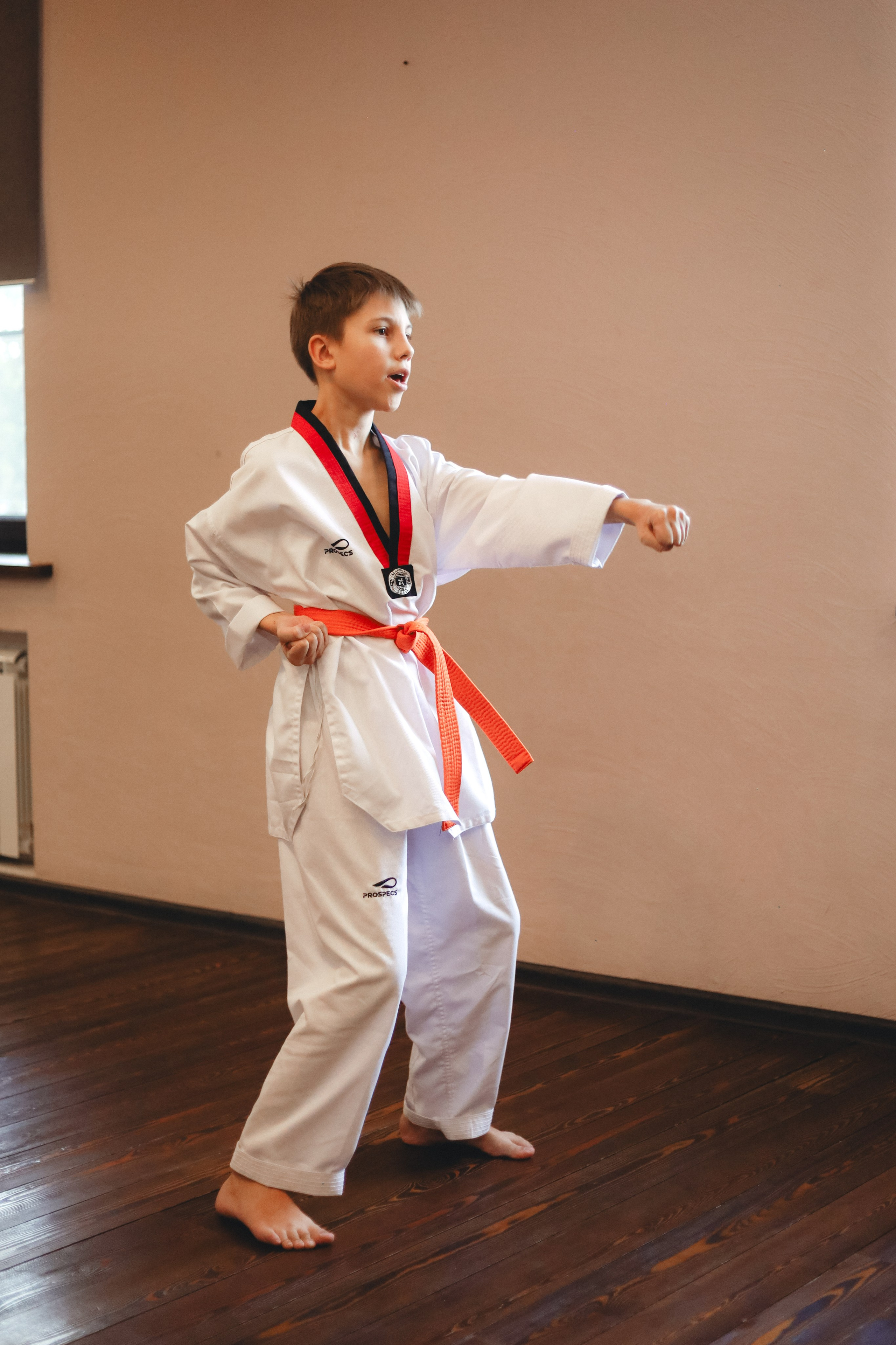 Тхэквондо Аттестация. Фотограф в Москве Бастракова Юлия