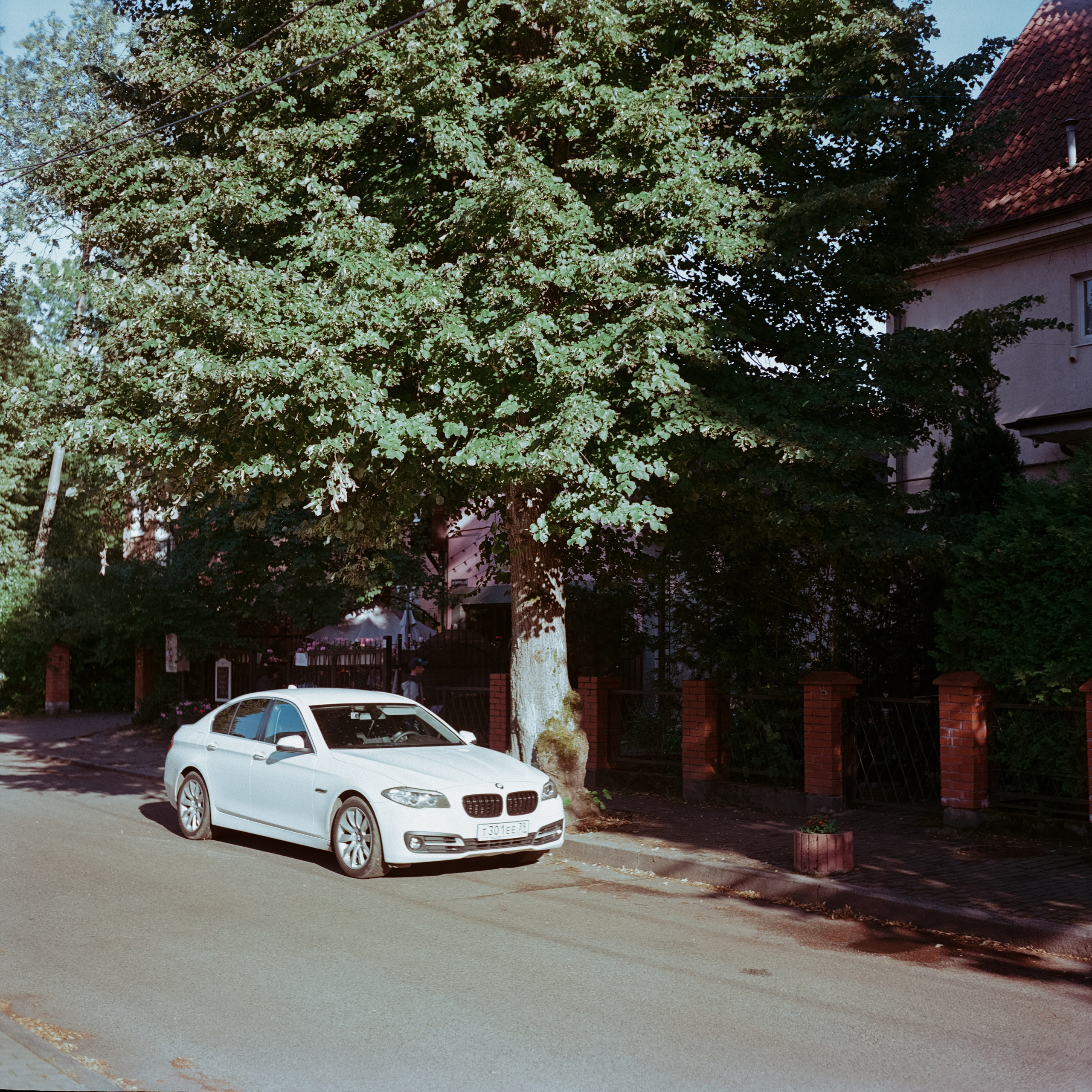 Калининград 1 июля Ремонтная ул., Каштановая ул. / Super Fujica-6