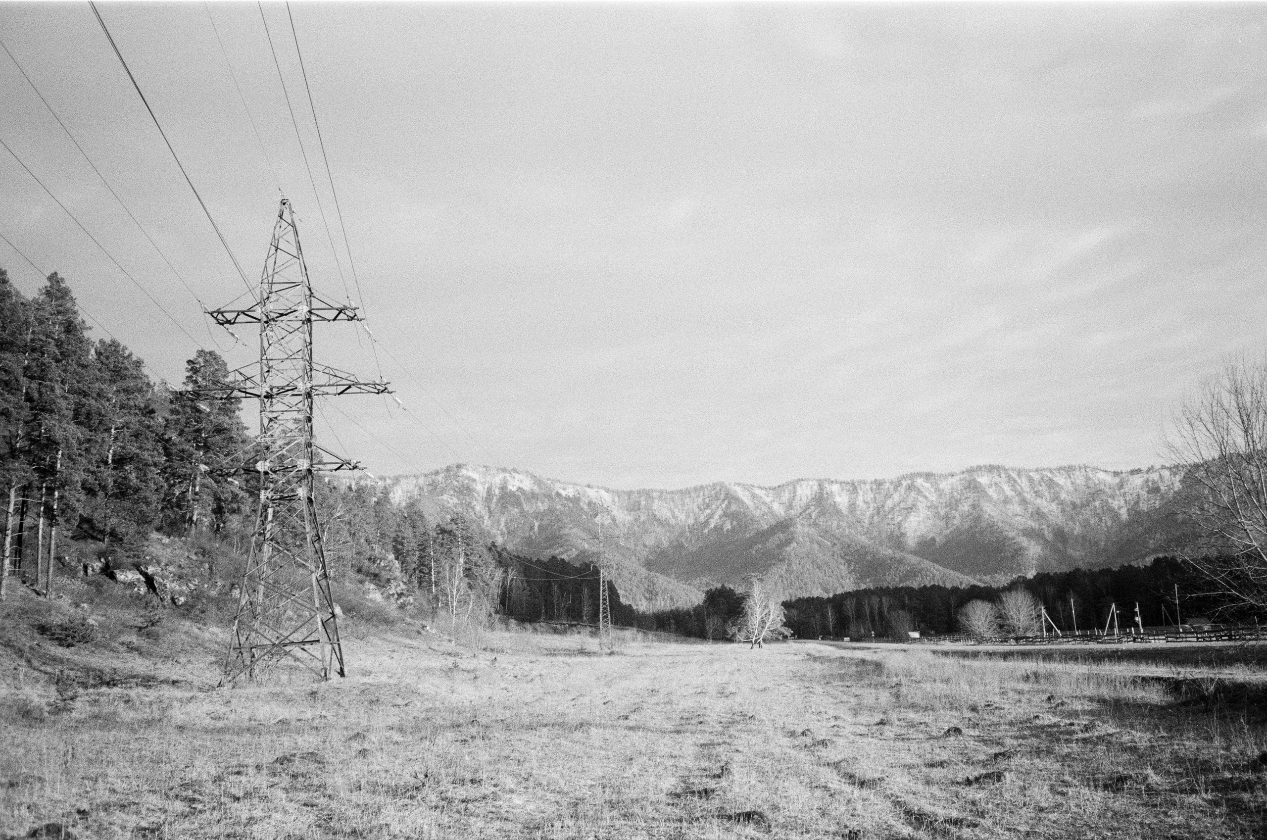 Olympus AF-10 SUPER / Ilford PAN 400 / Алтай, зима 2023 год