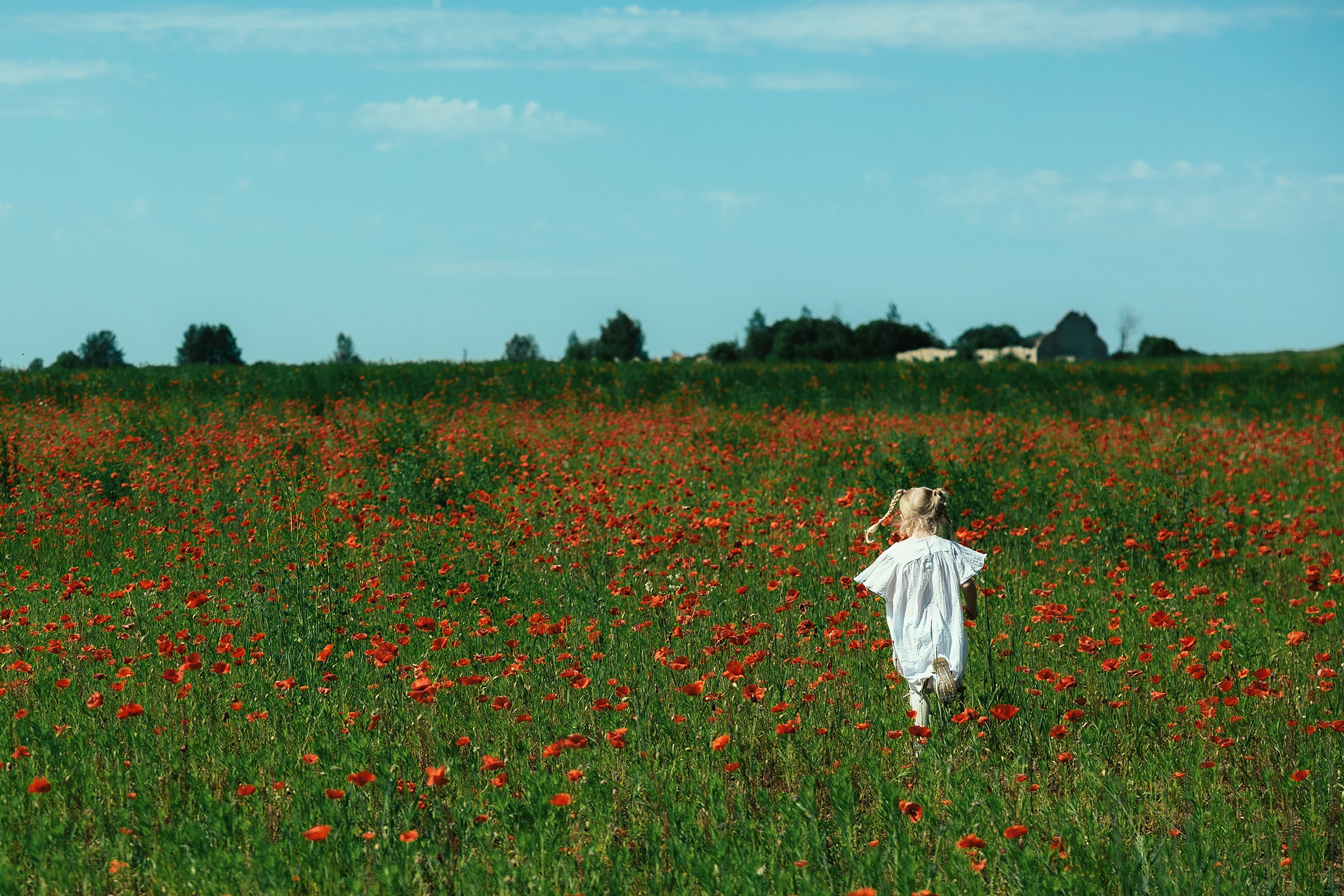 Фотосессия в маковом поле