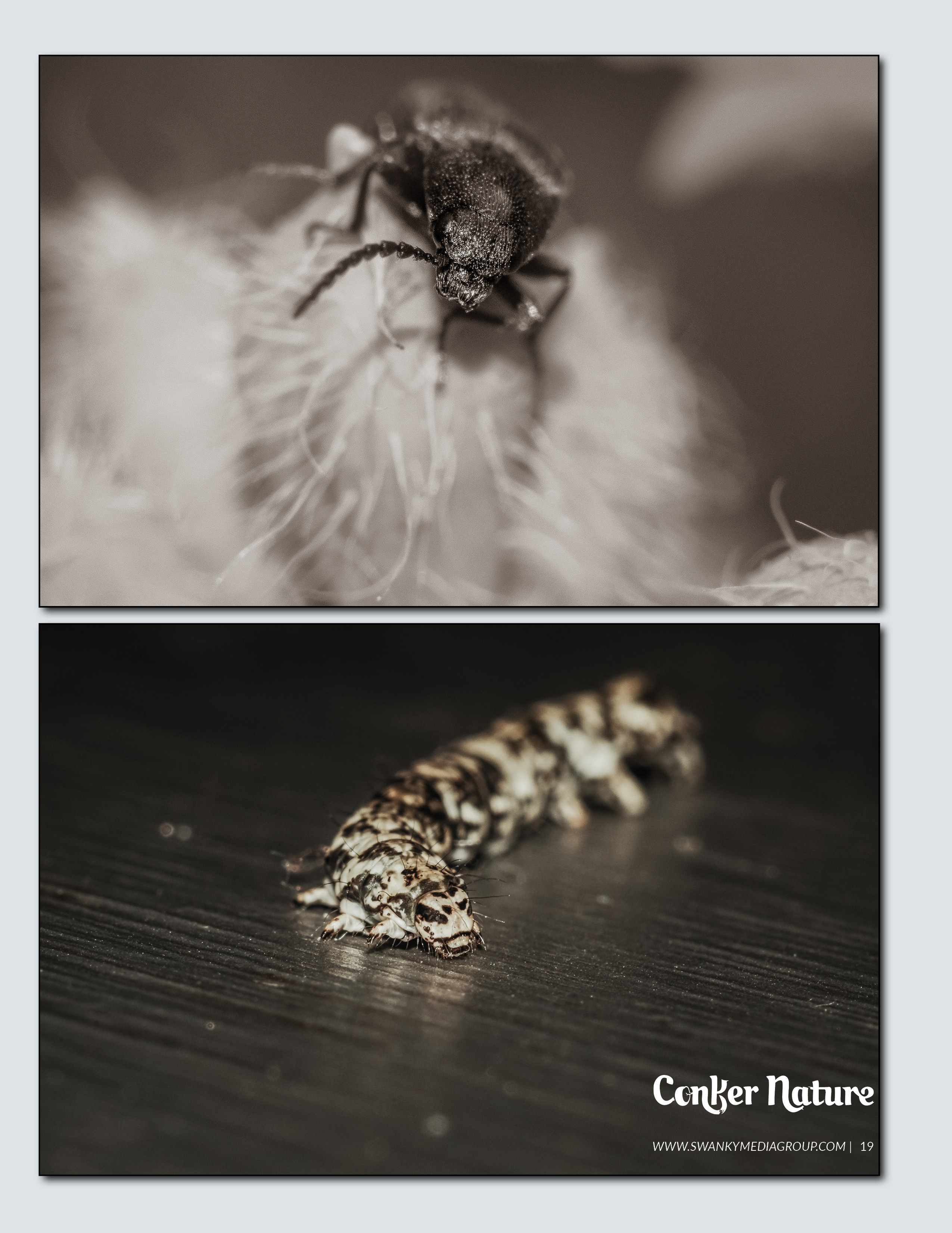 My publications in printed publications, magazines. Фотограф (photographer) Lischinski Vitaliy