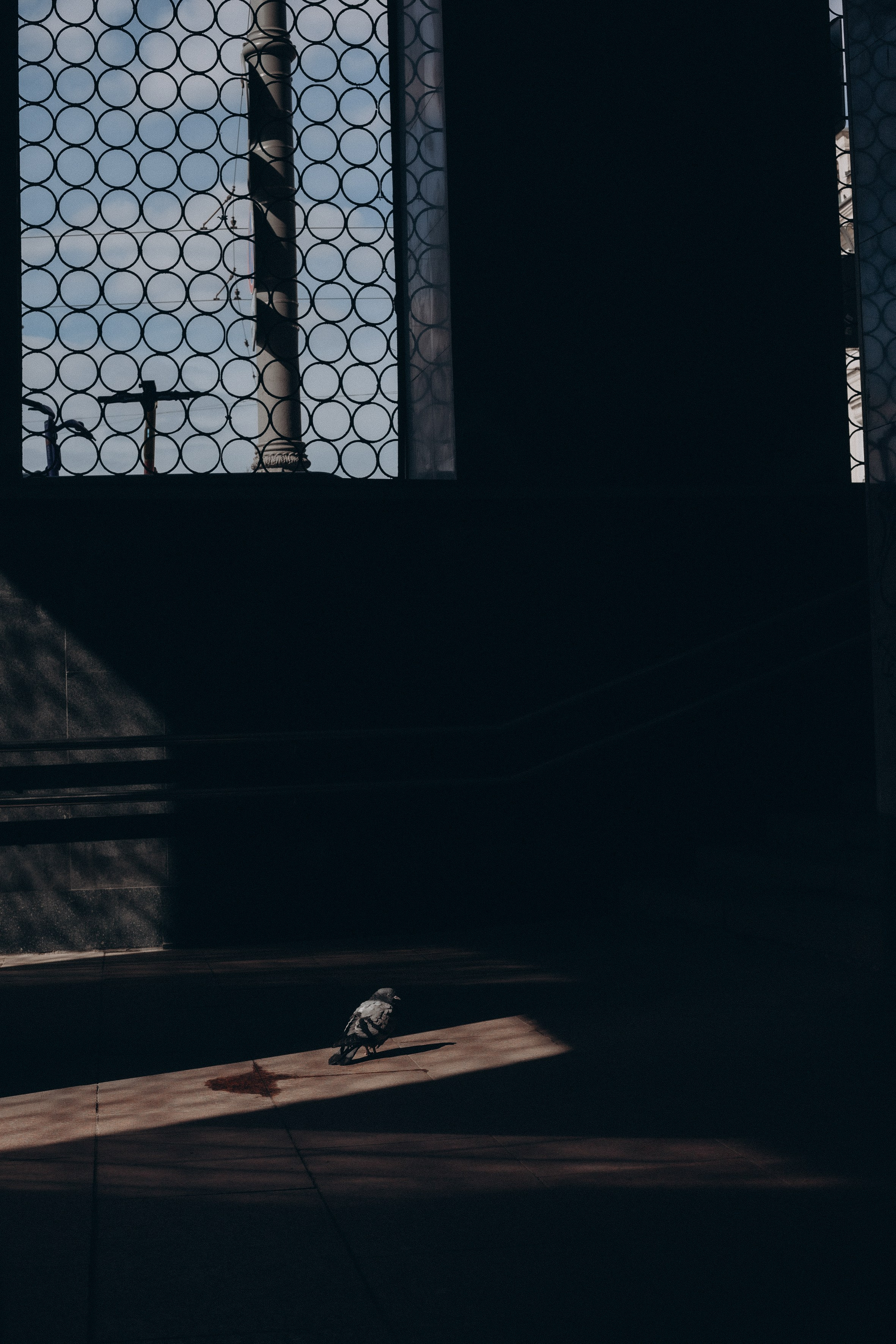 Оля и солнце. (репортажный портрет, беременная съёмка). Портретный и репортажный фотограф в Москве, Ольга Ларема