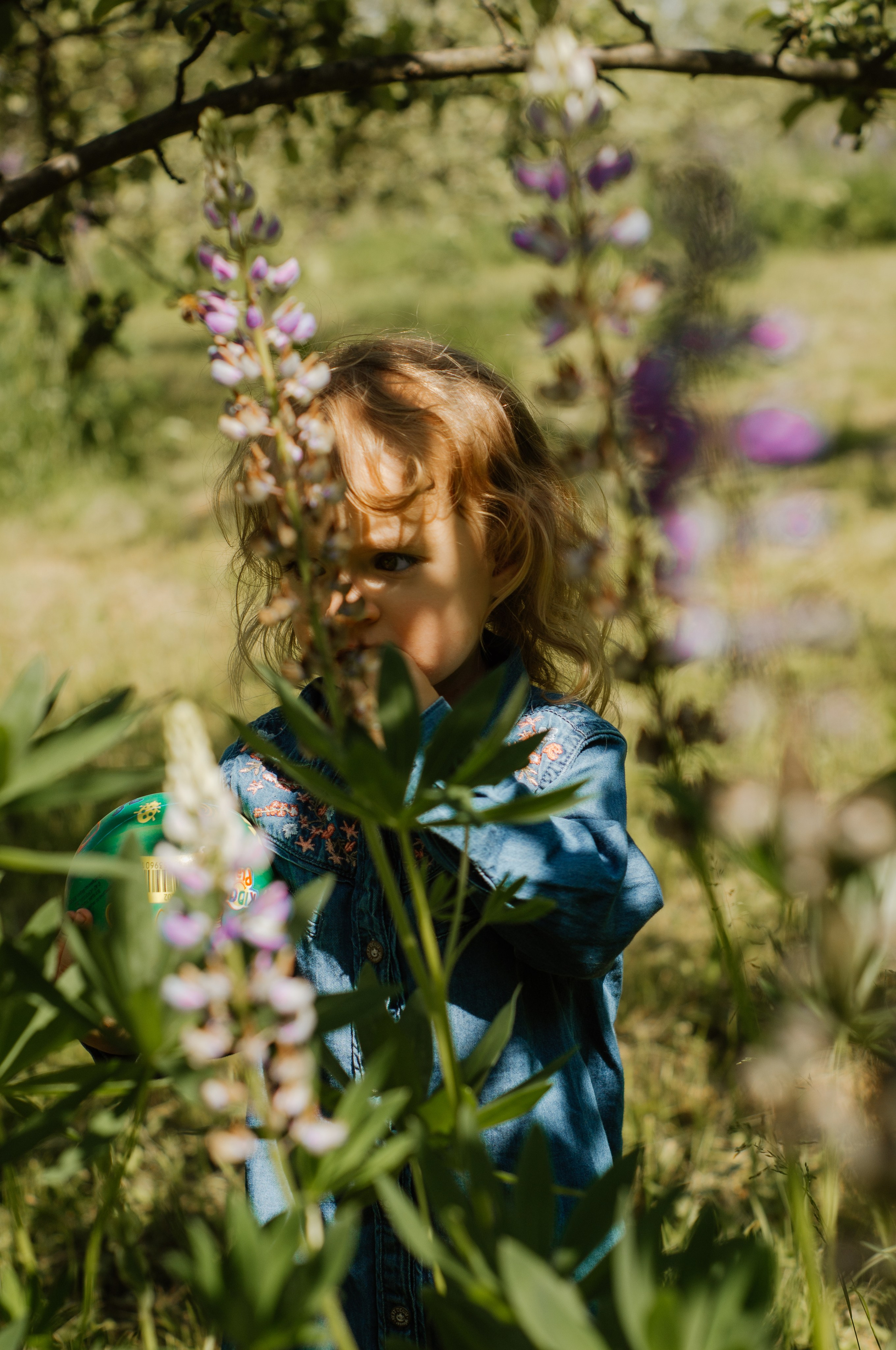 Дочки-сыночки. Семейный фотограф в Москве Алла Суворова