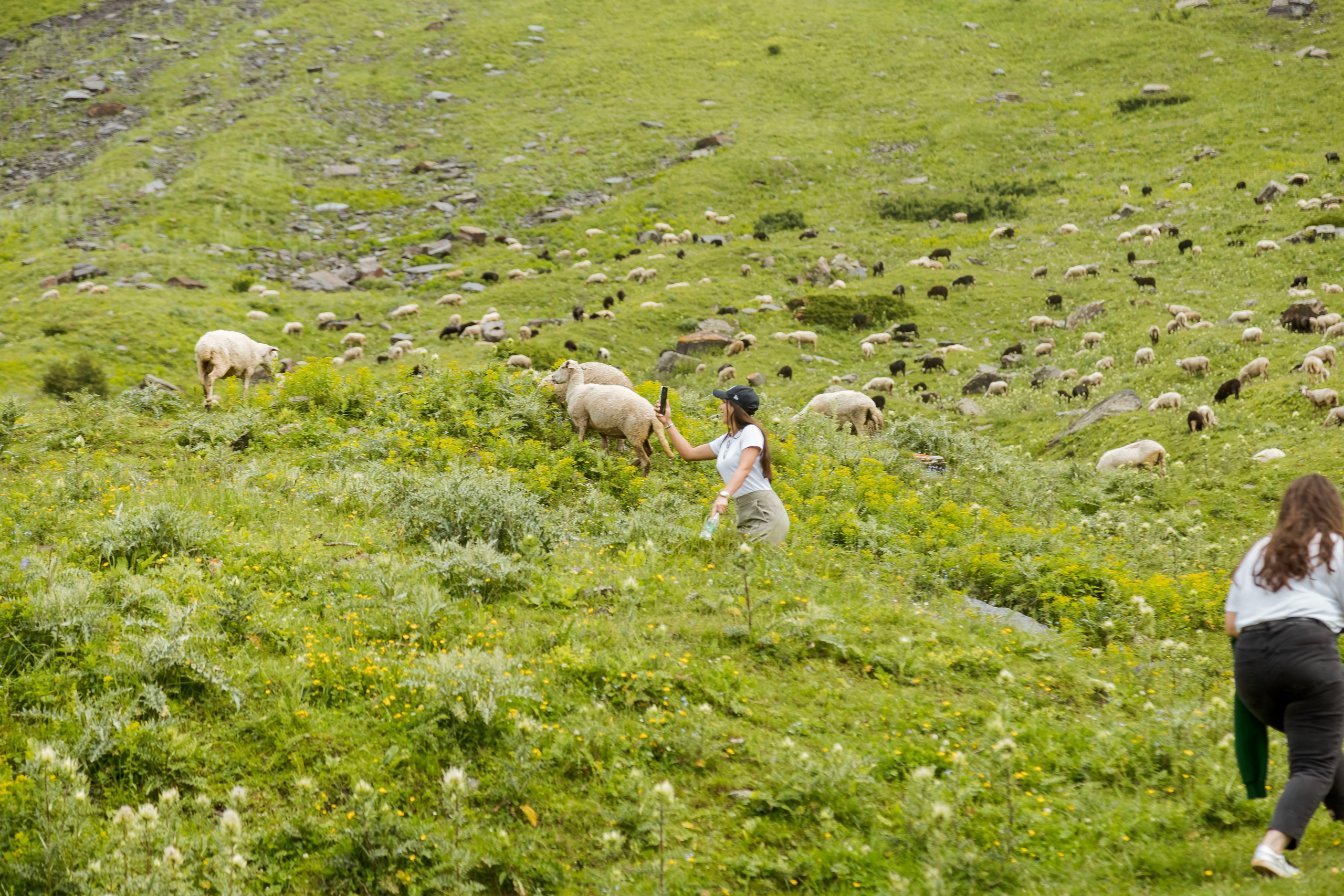 Уштулу. GIGI TOUR