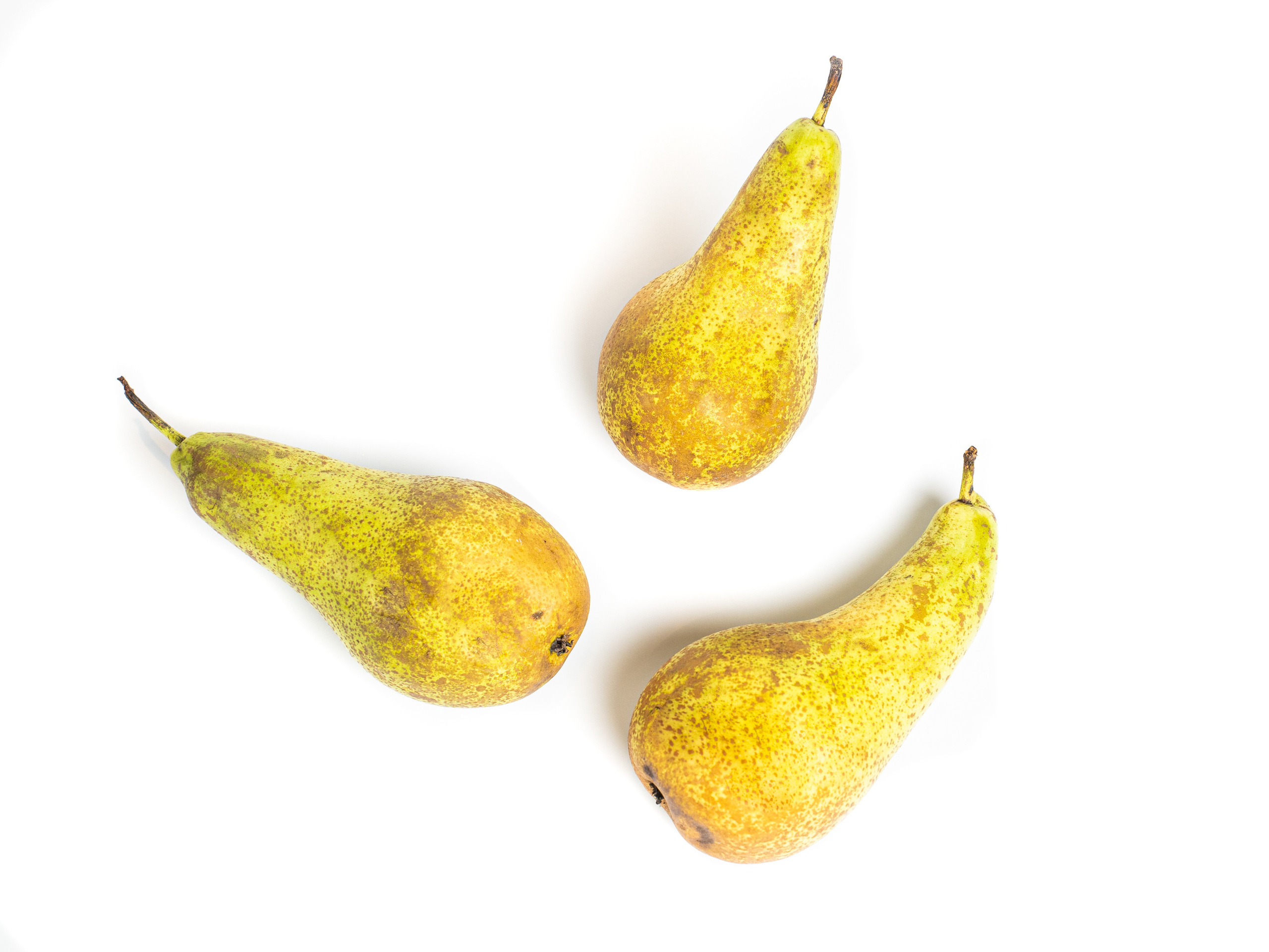 Яндекс Маркет. Предметный и фуд-фотограф в Москве Анна Царенко