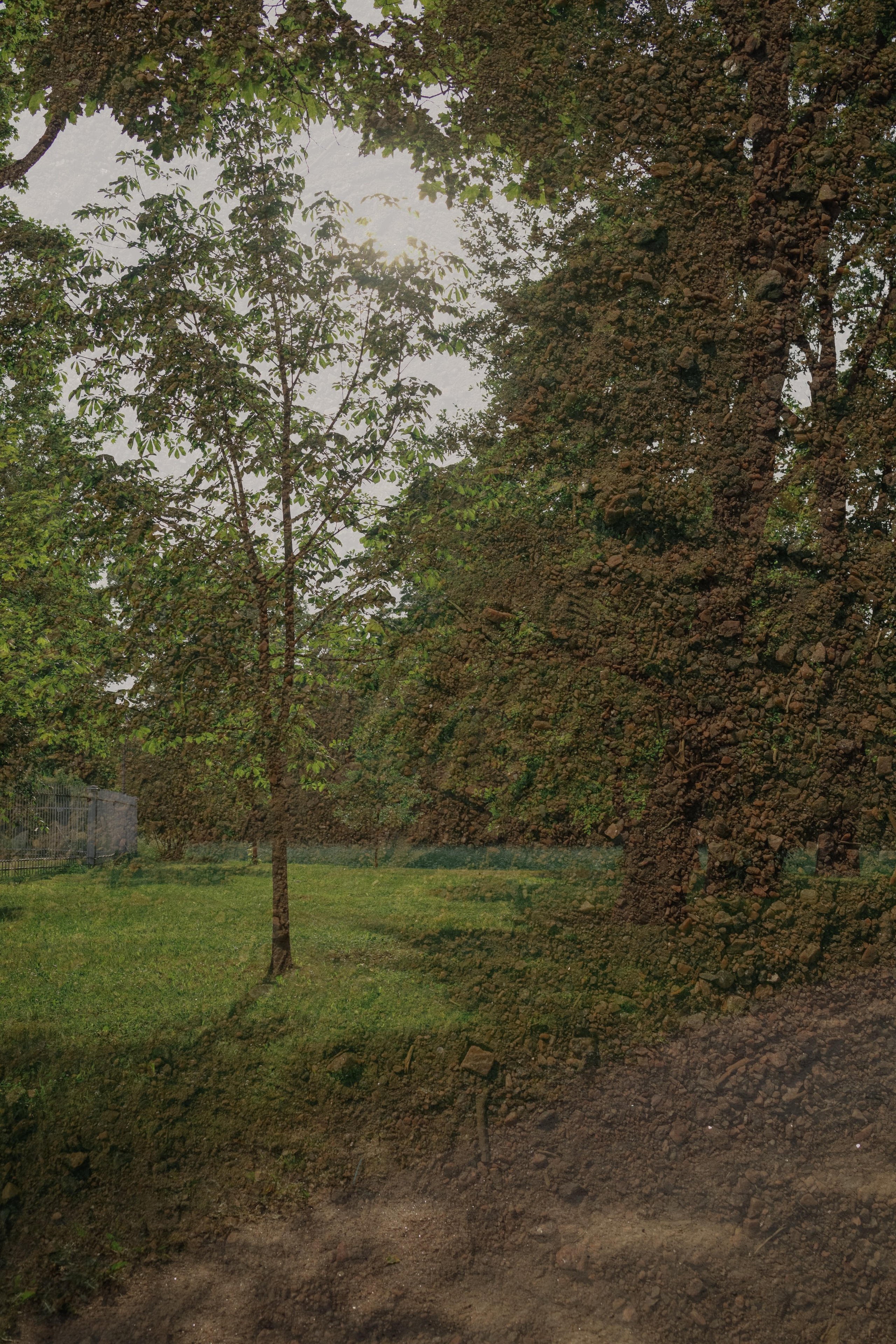 Природа &. Фотохудожник в СПб