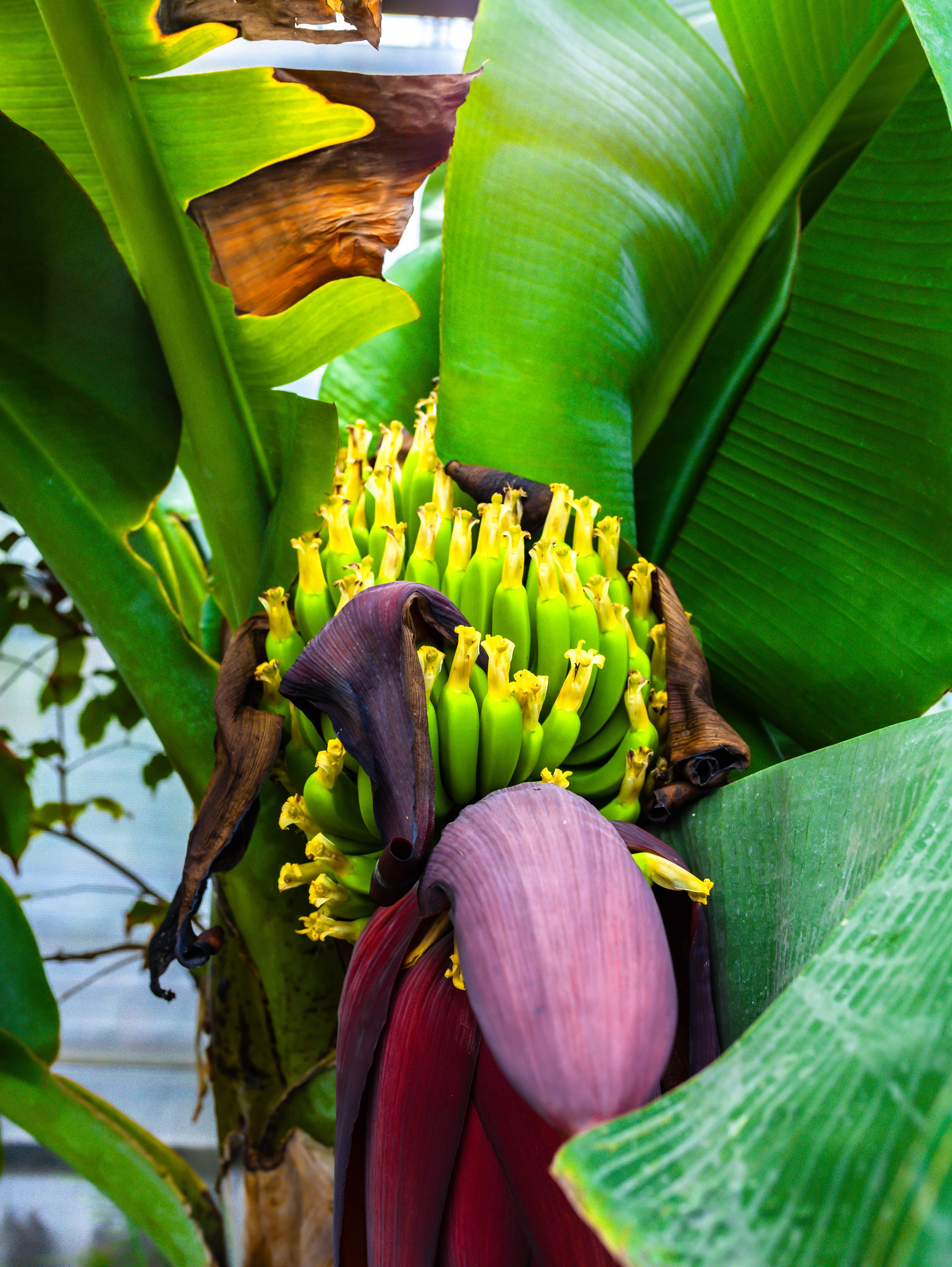 Фотографии природы Липецка. Свадебный и семейный фотограф Виолетта в Липецке