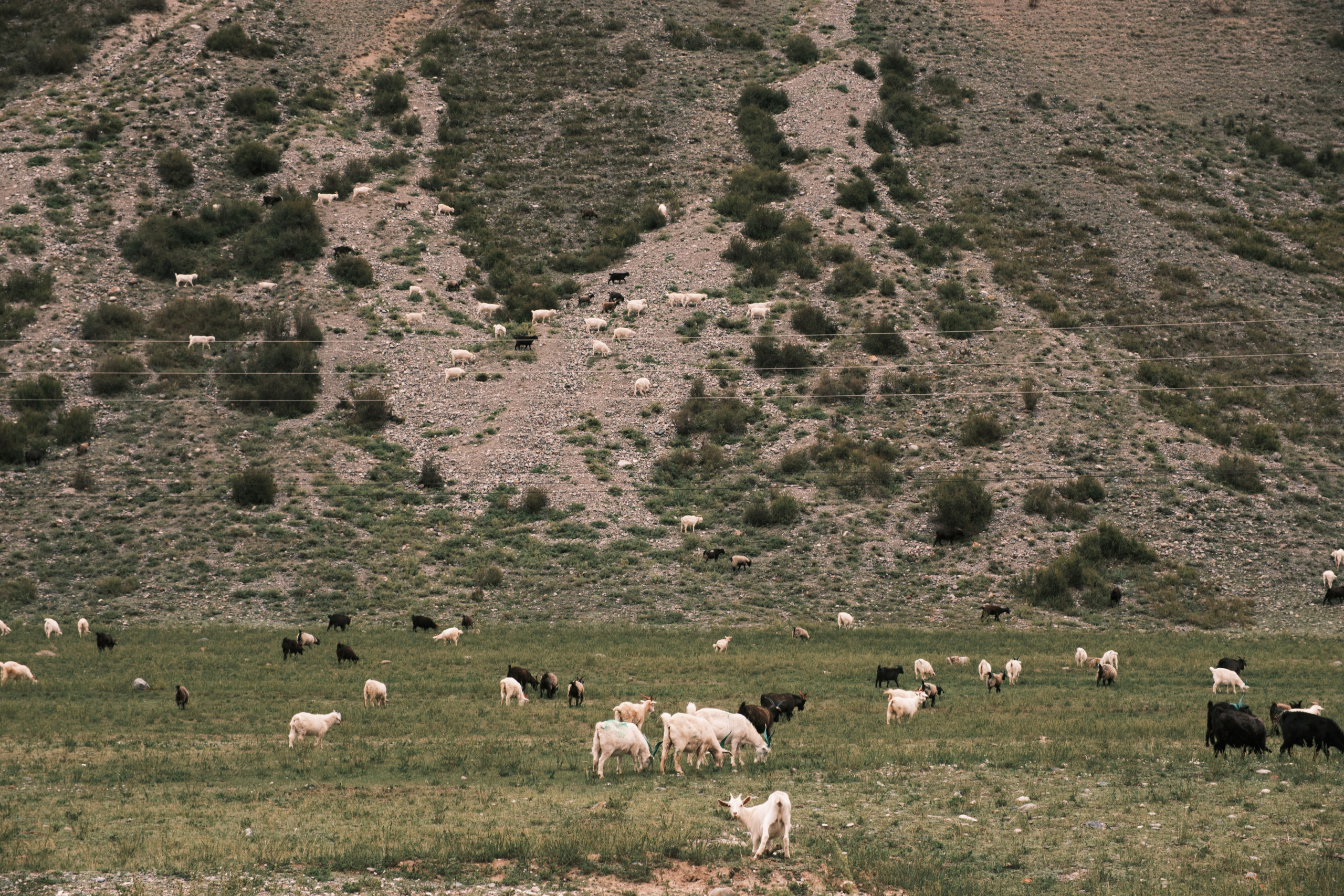 Природа. Антон Ив