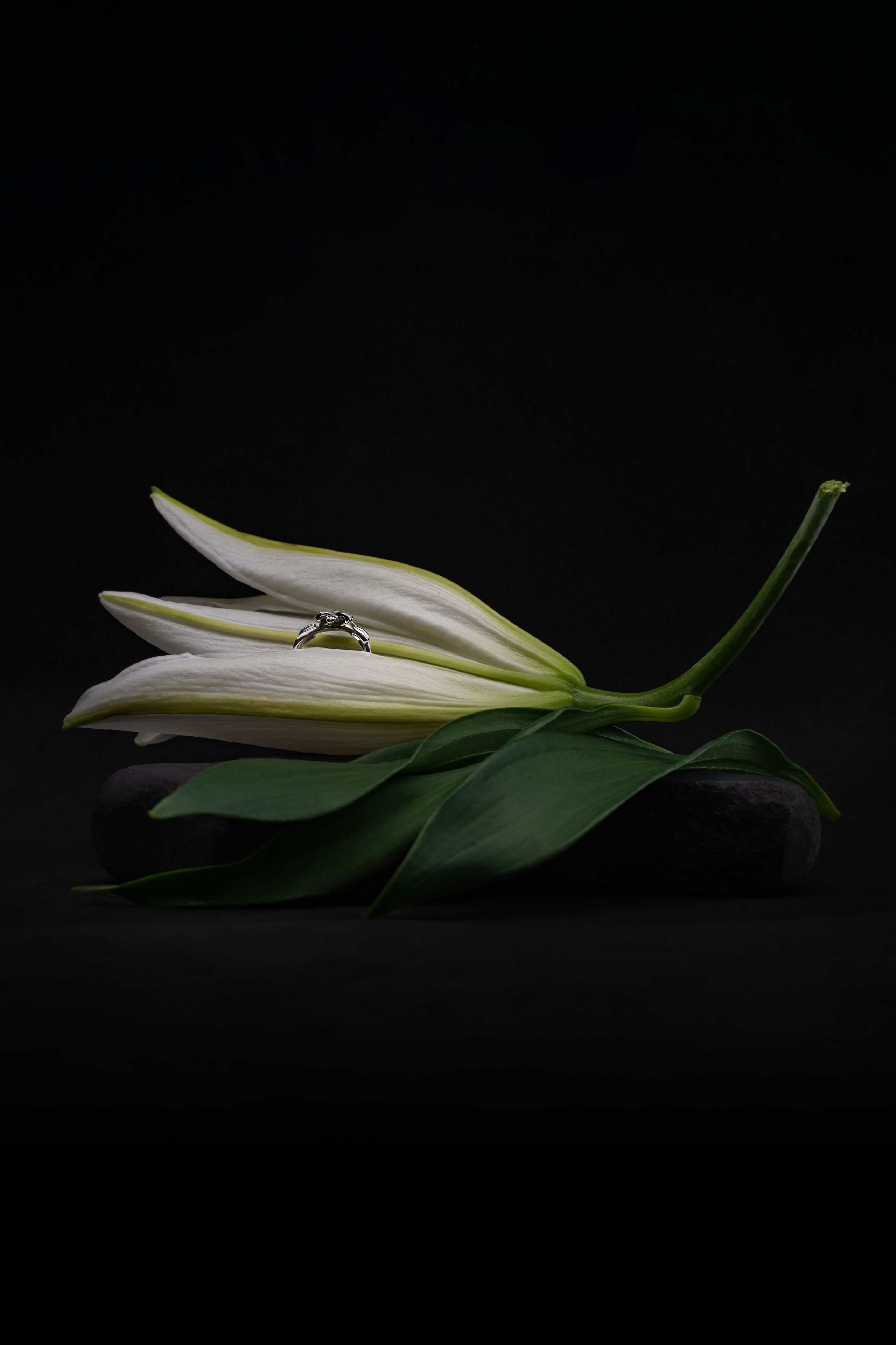 Medici jewelry. Контент фотограф в Москве Александр Хитько