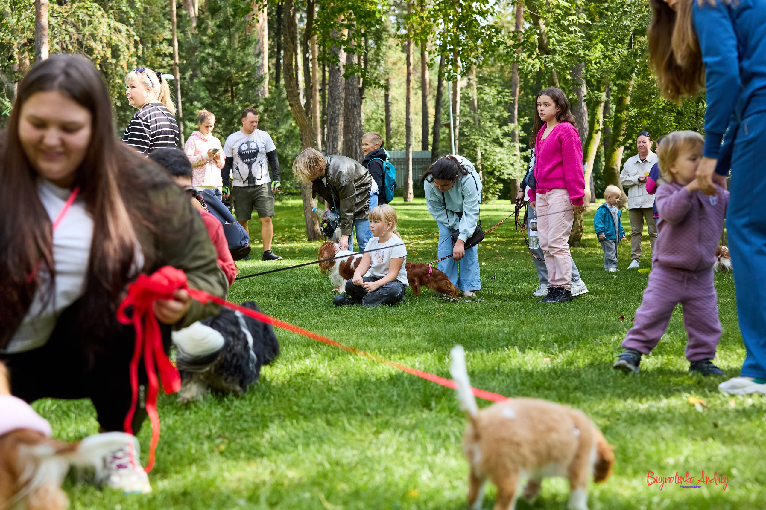 Фотопрогулка с кавалерами. Buyvolenko Andrey