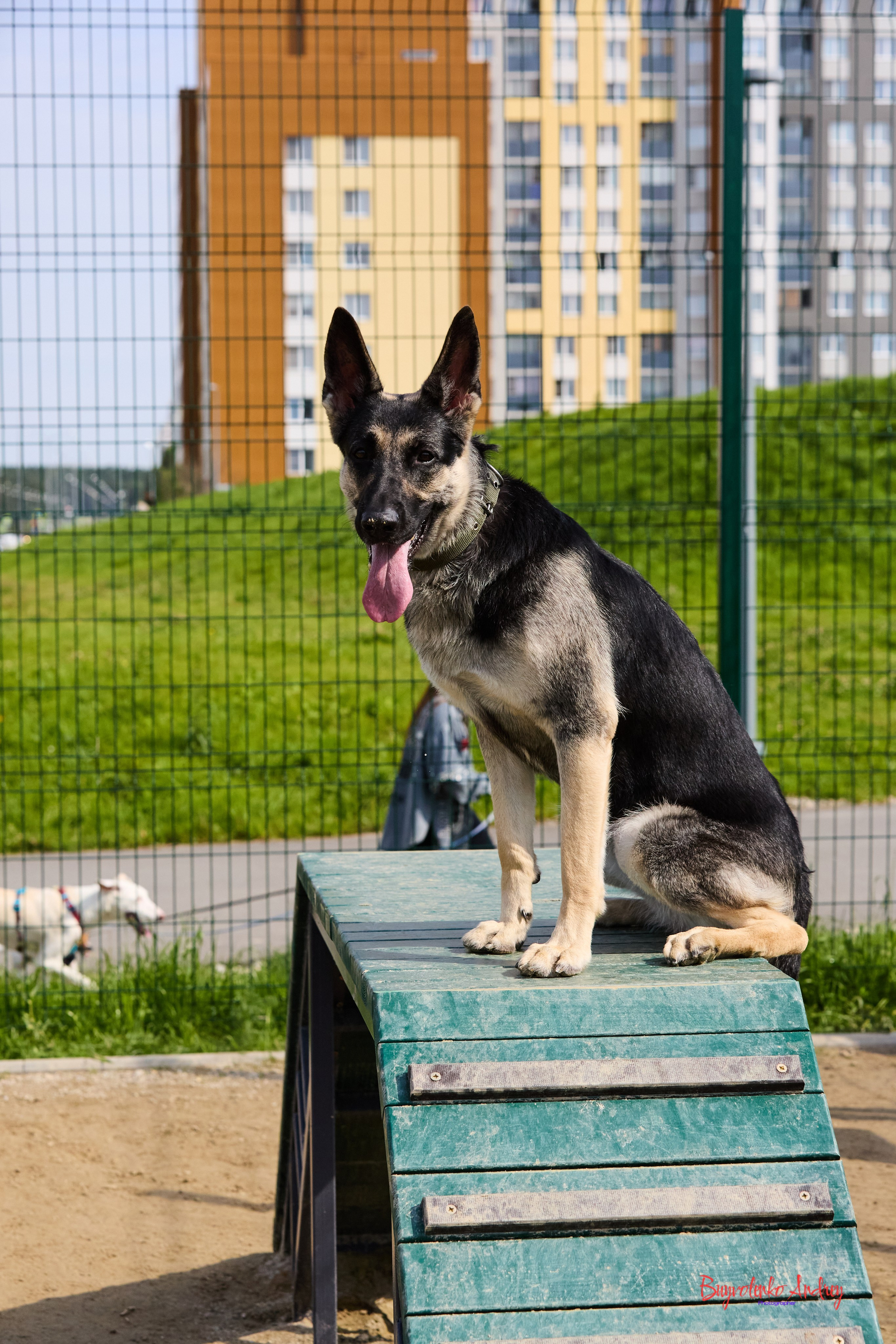 Проект фотопрогулка с хвостиком. Buyvolenko Andrey