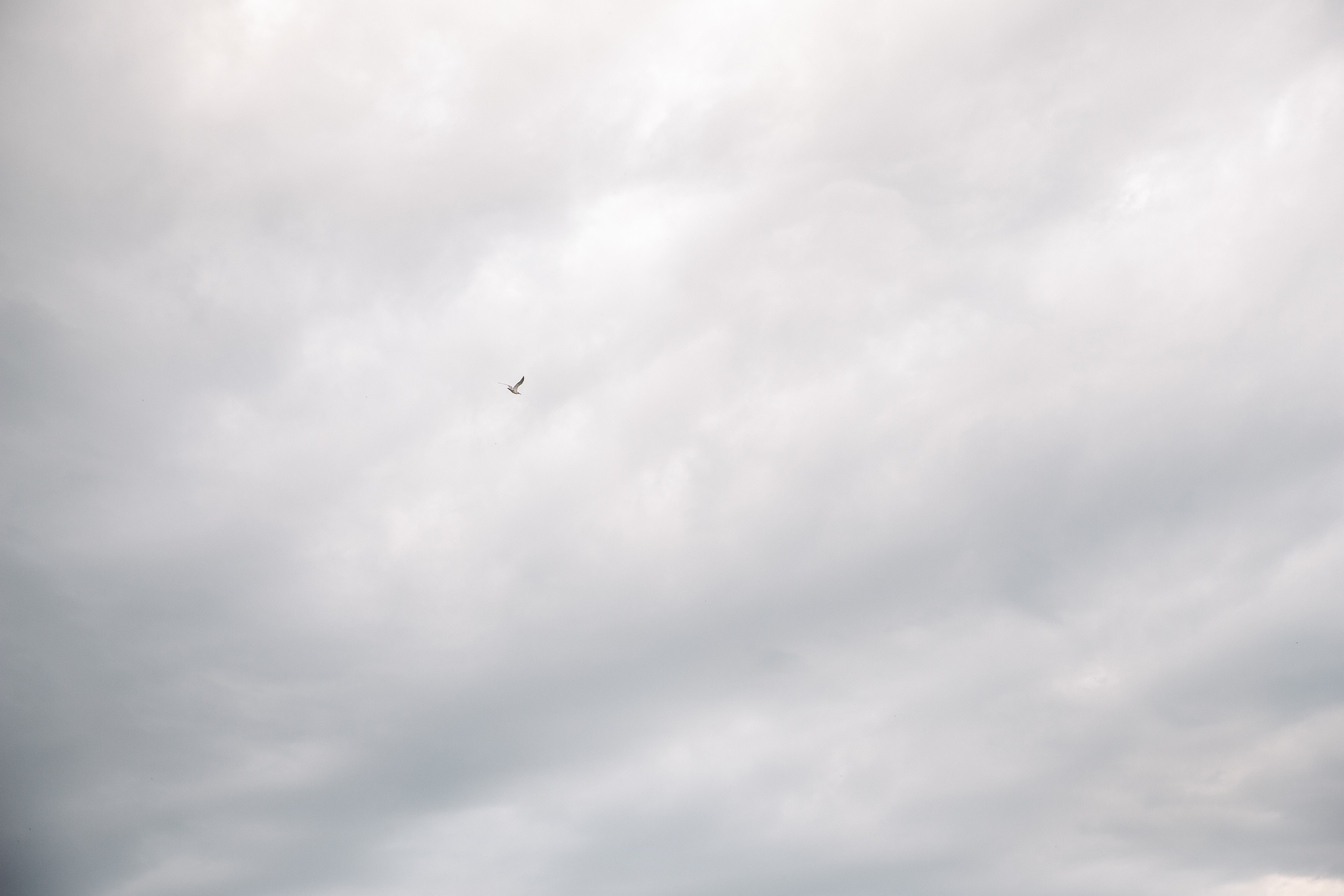 Анастасия и Иван. Свадебный и семейный фотограф в Челябинске Юлия Ишимова