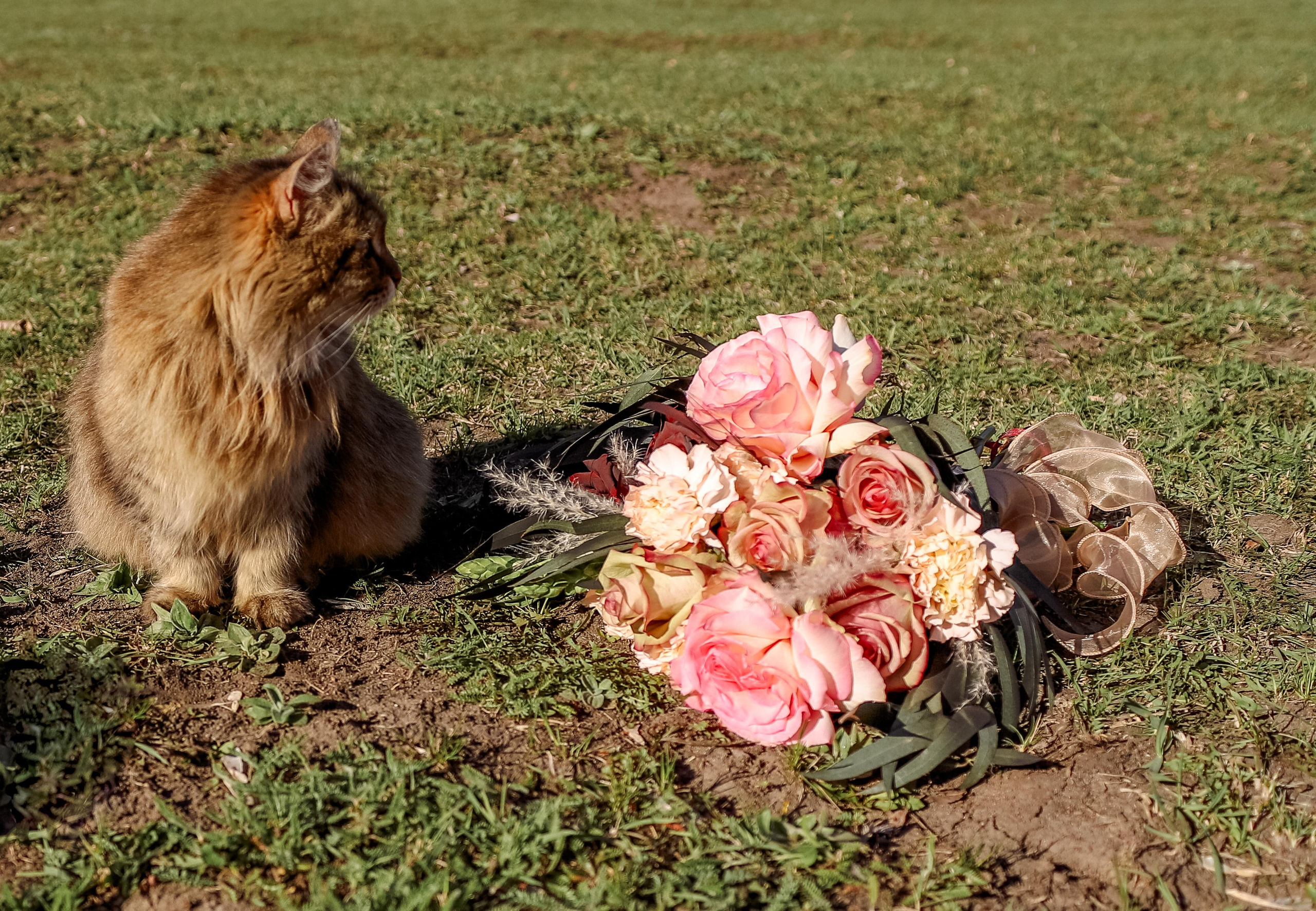 Алия и Ильдар. Свадебный и семейный фотограф в Челябинске Юлия Ишимова