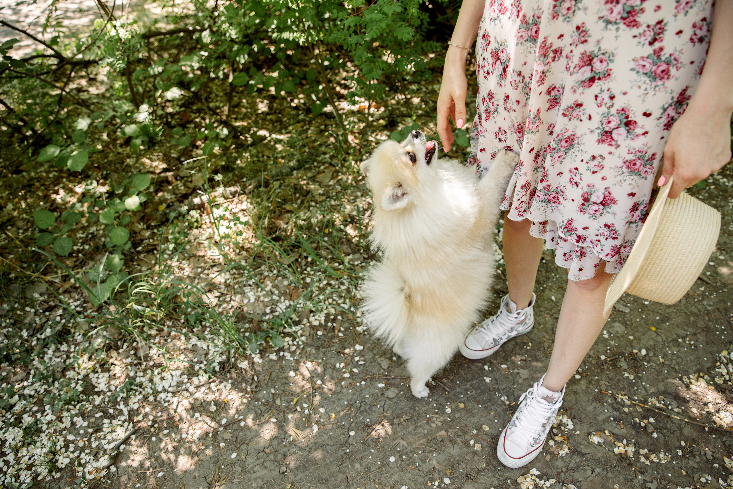 Елизавета и Максим. Свадебный и семейный фотограф в Челябинске Юлия Ишимова
