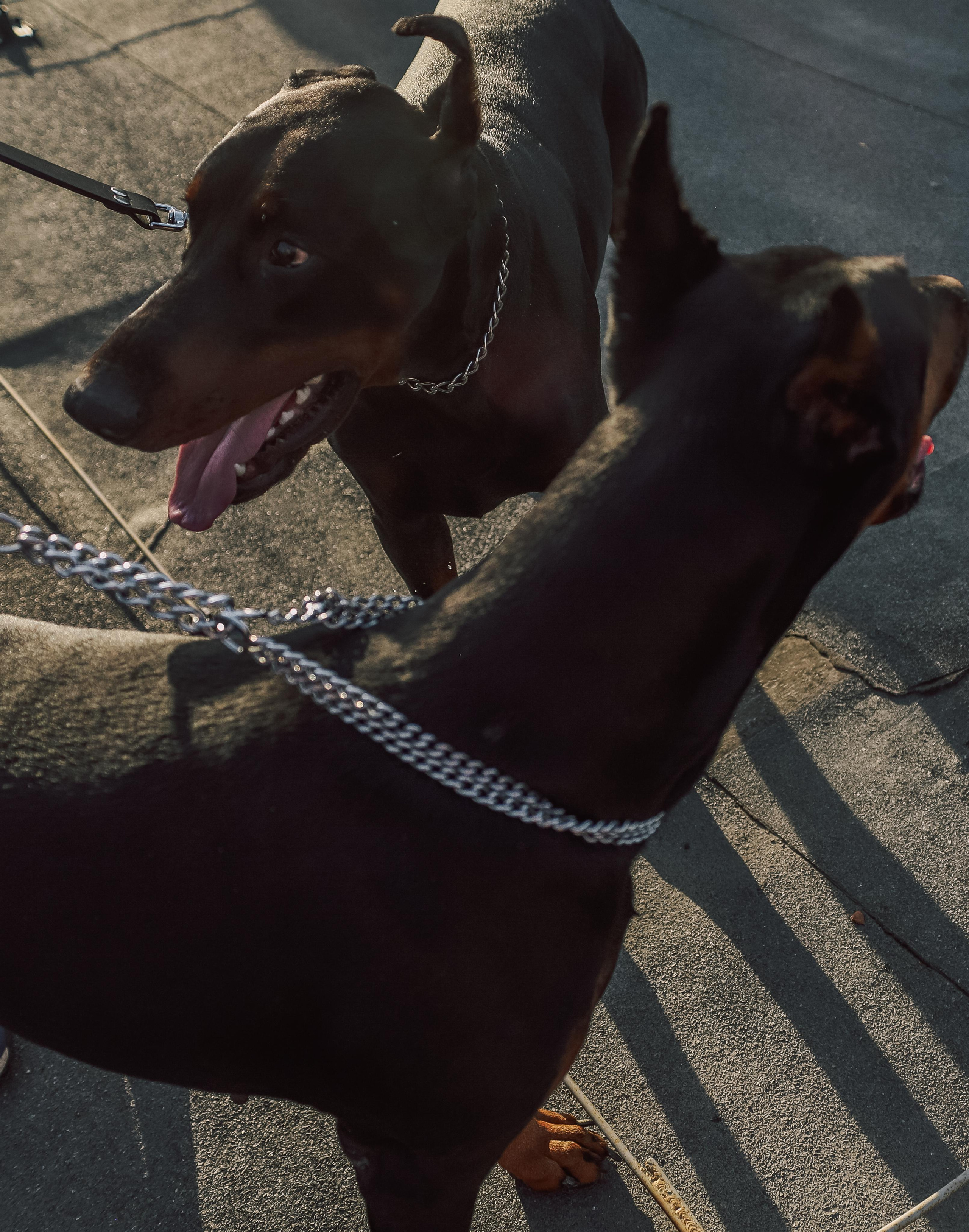 Галина и Андрей. Свадебный и семейный фотограф в Челябинске Юлия Ишимова