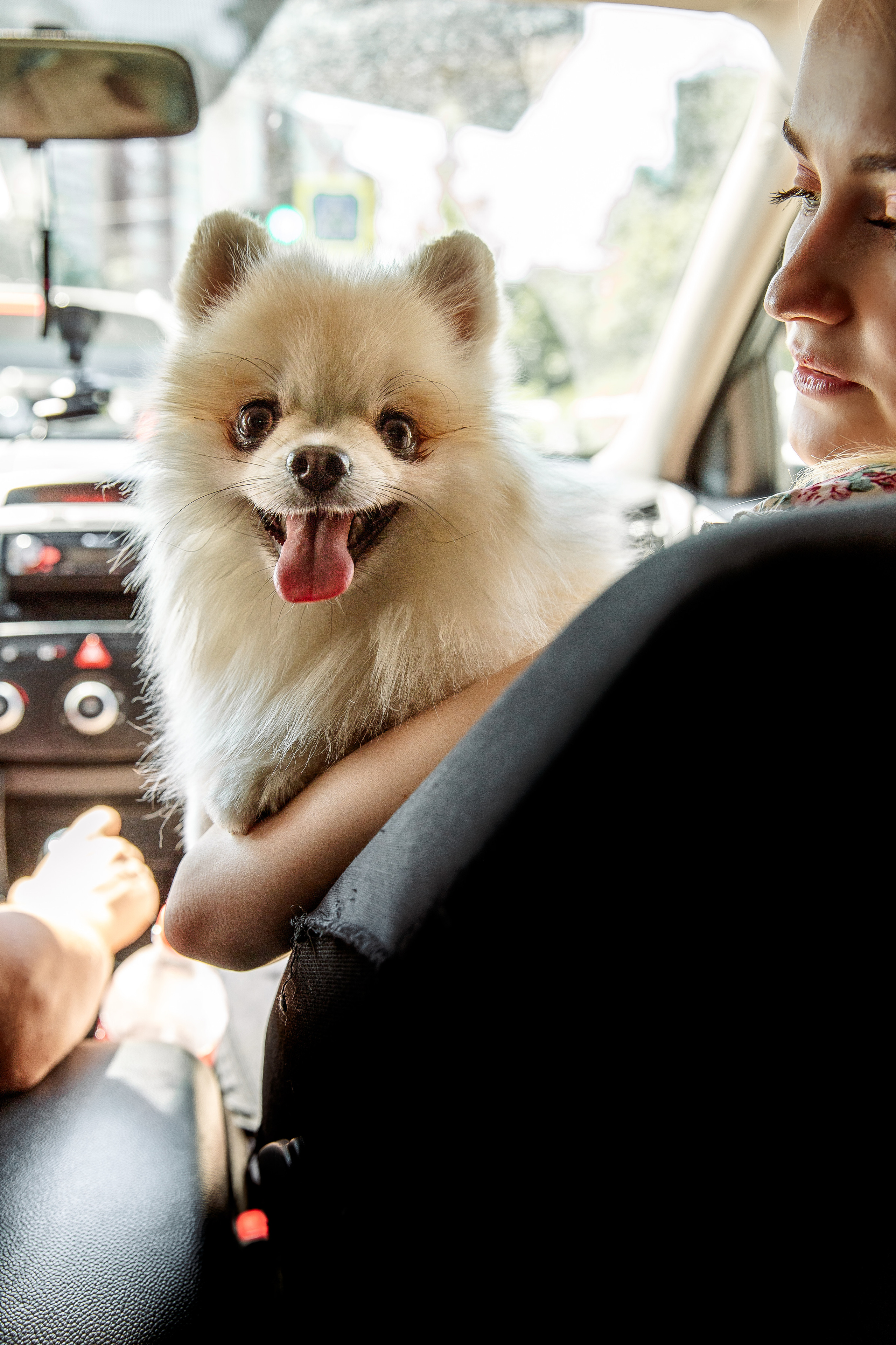 Елизавета и Максим. Свадебный и семейный фотограф в Челябинске Юлия Ишимова