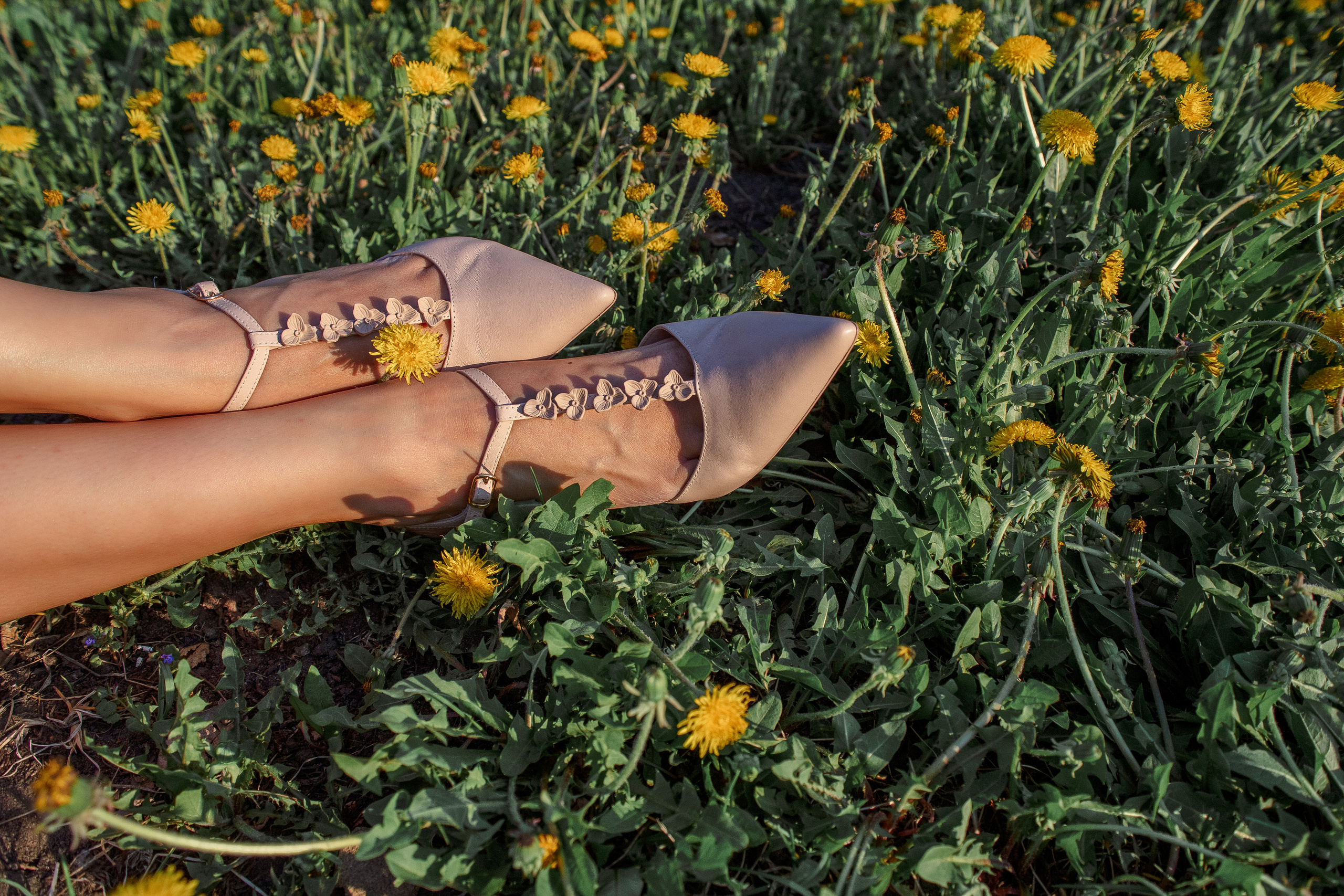 Марина и Данил. Свадебный и семейный фотограф в Челябинске Юлия Ишимова