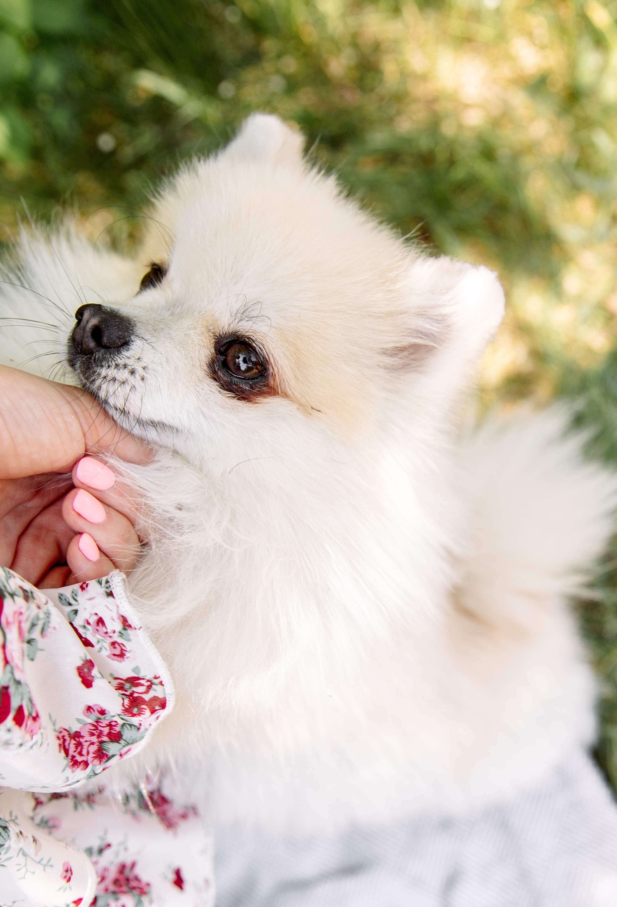 Елизавета и Максим. Свадебный и семейный фотограф в Челябинске Юлия Ишимова