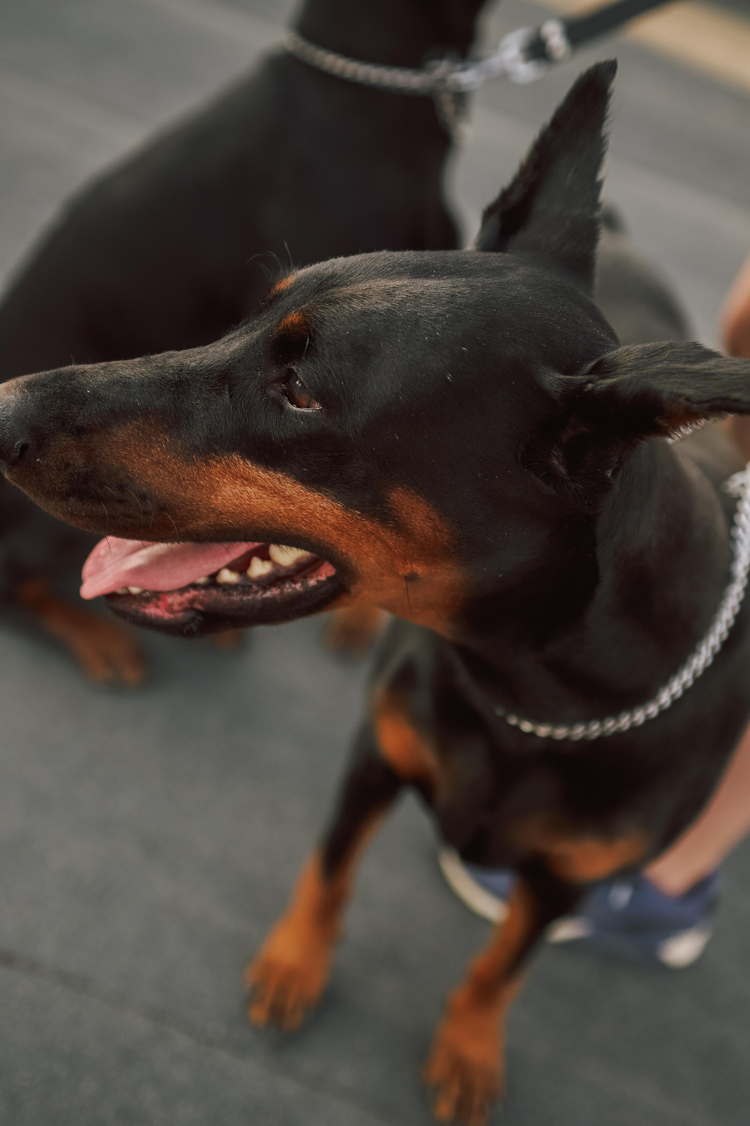 Галина и Андрей. Свадебный и семейный фотограф в Челябинске Юлия Ишимова
