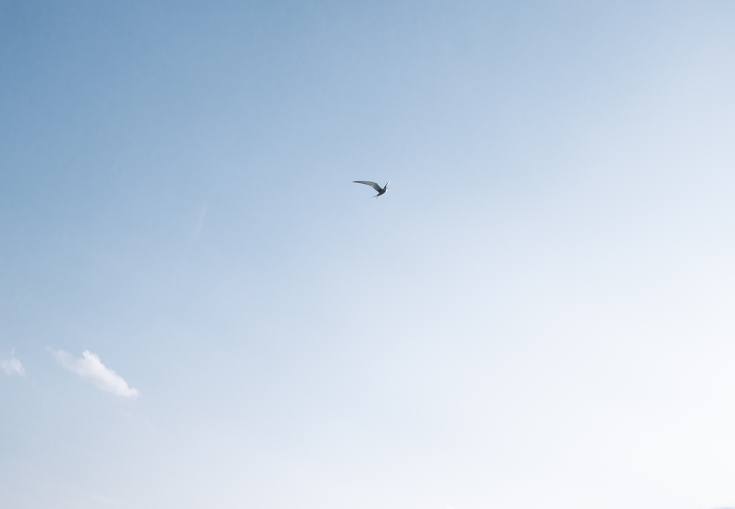 Галина и Андрей. Свадебный и семейный фотограф в Челябинске Юлия Ишимова