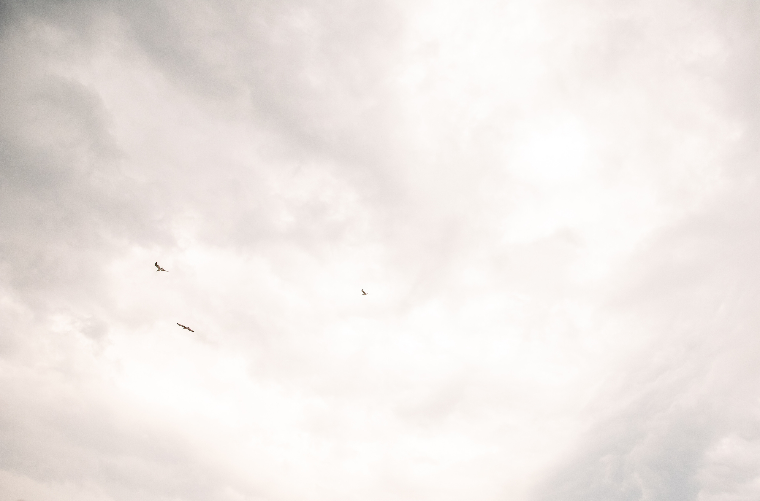 Анастасия и Иван. Свадебный и семейный фотограф в Челябинске Юлия Ишимова