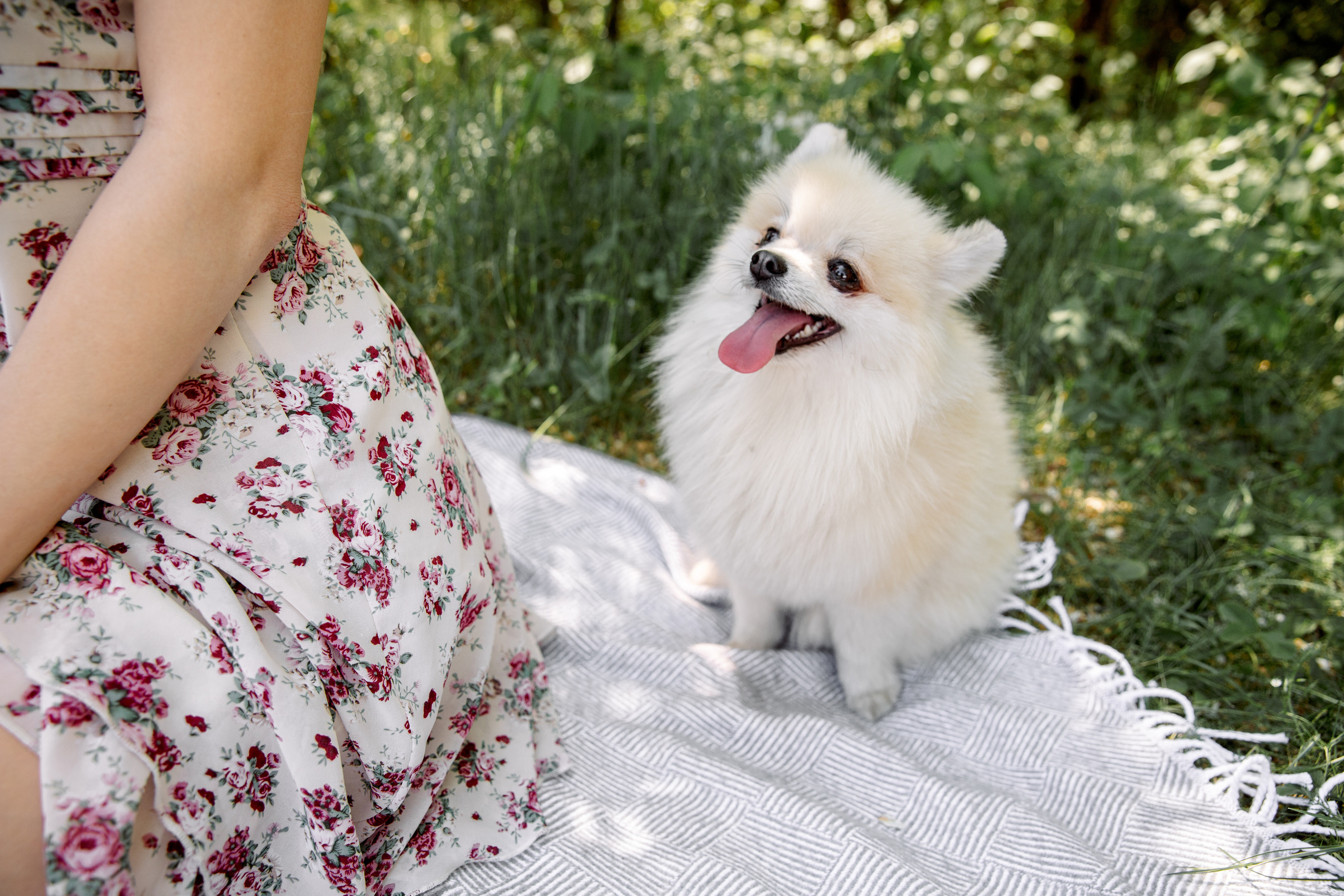 Елизавета и Максим. Свадебный и семейный фотограф в Челябинске Юлия Ишимова