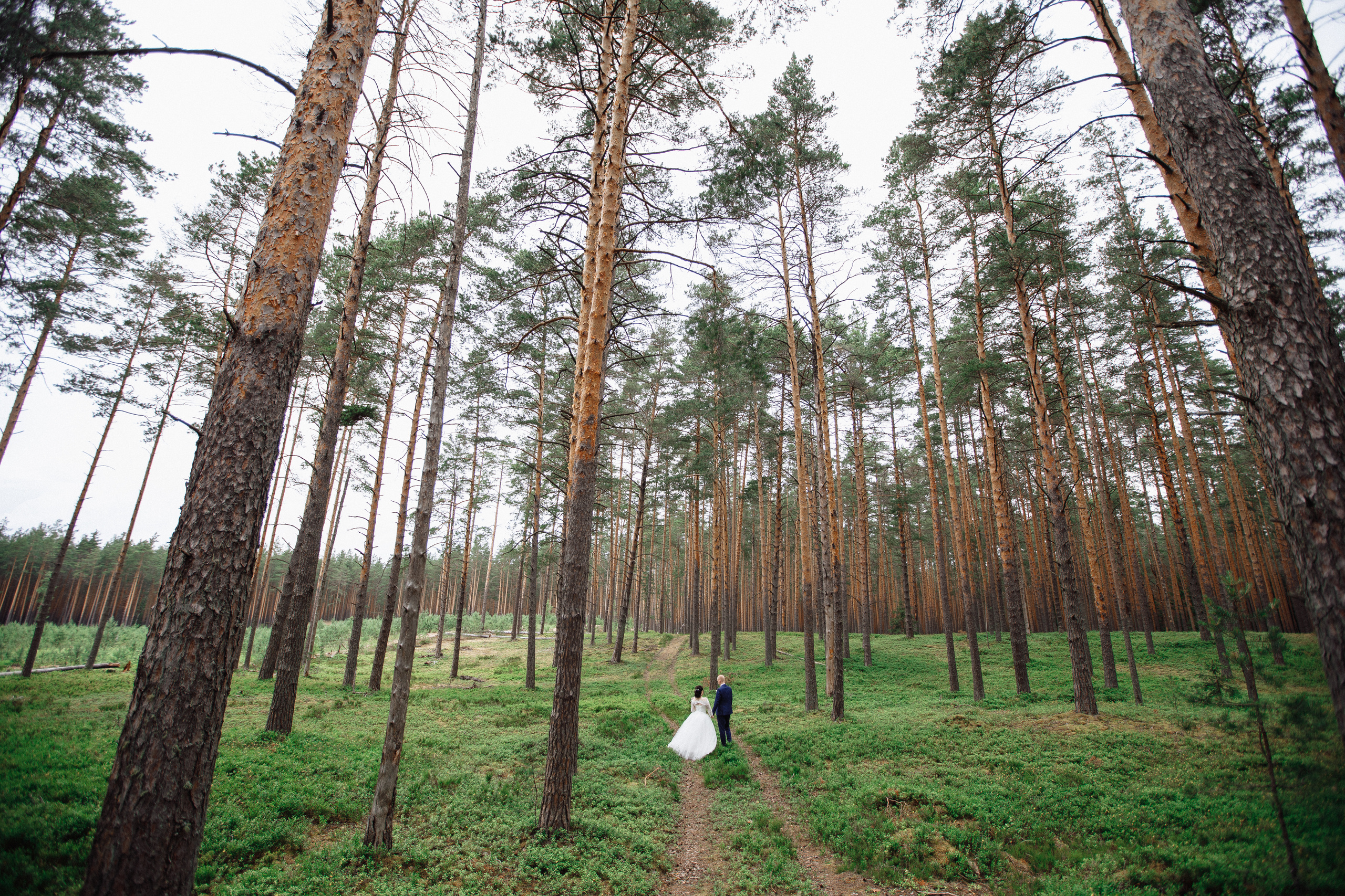 Свадьба 3 июля 2020. Свадебный и семейный фотограф в Твери, Москве, Санкт-Петербурге