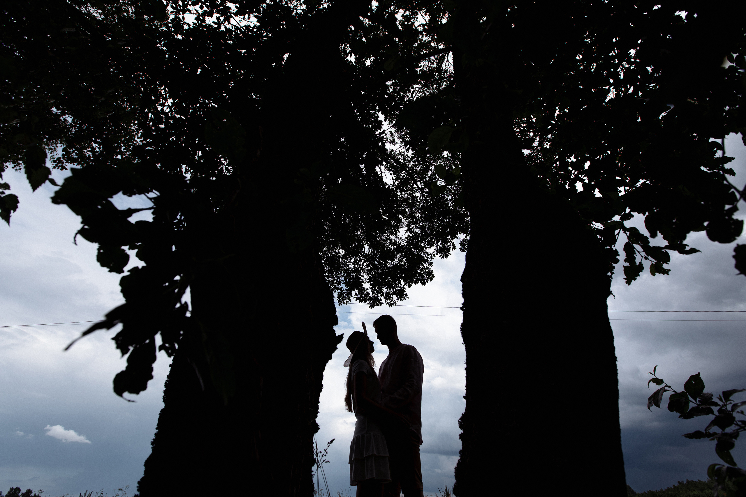 Поле. Свадебный и семейный фотограф в Твери, Москве, Санкт-Петербурге