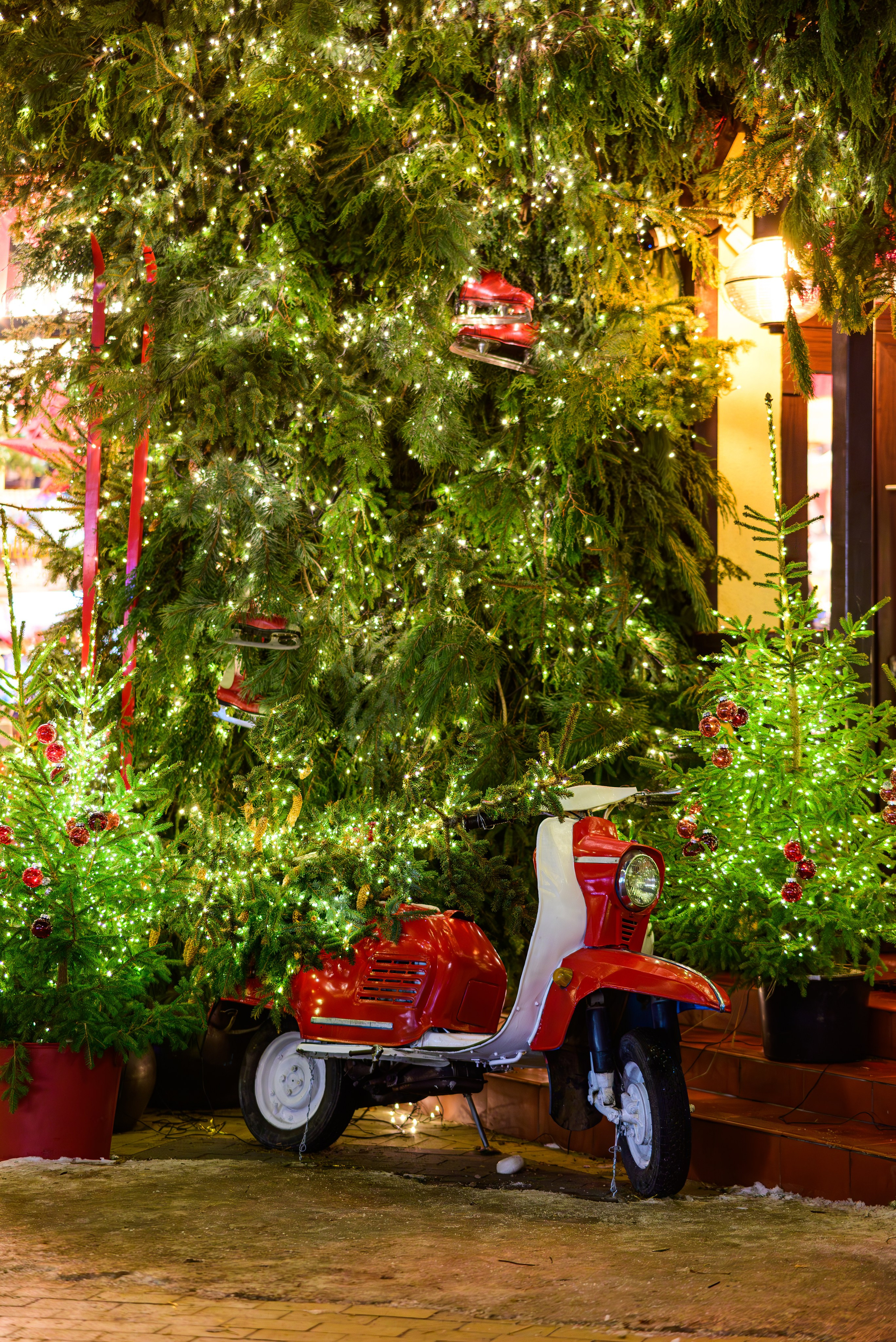 Зимняя Калининградская область. Фотосъемка и видеосъемка в Калининграде Liveemotion.pro