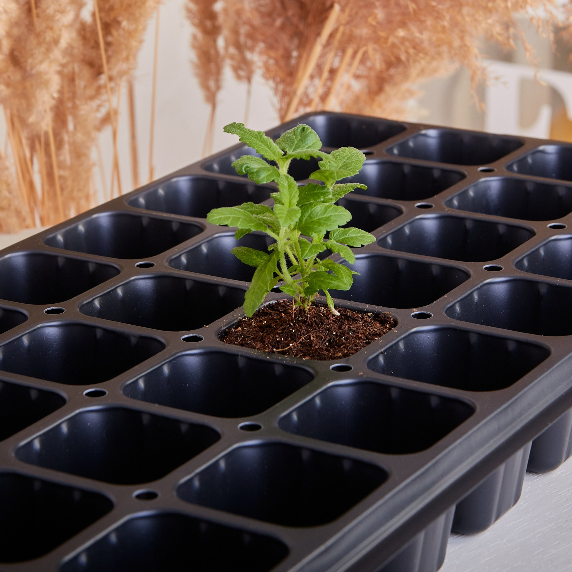 Фотосъёмка для маркетплейсов. Предметный и репортажный фотограф Алексей Кротов