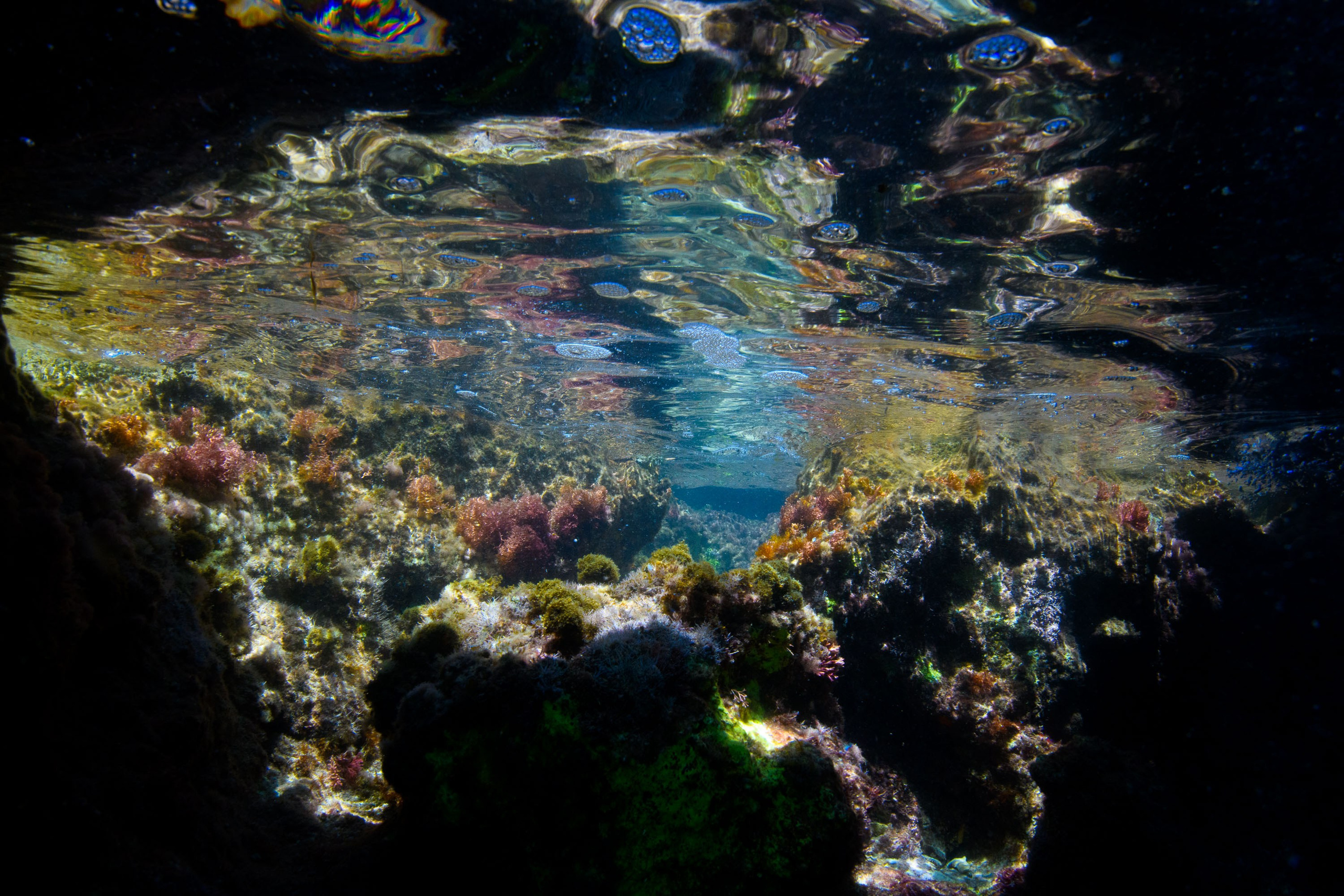 Турция яхтинг. Профессиональная фотосъемка. Ростов-на-Дону