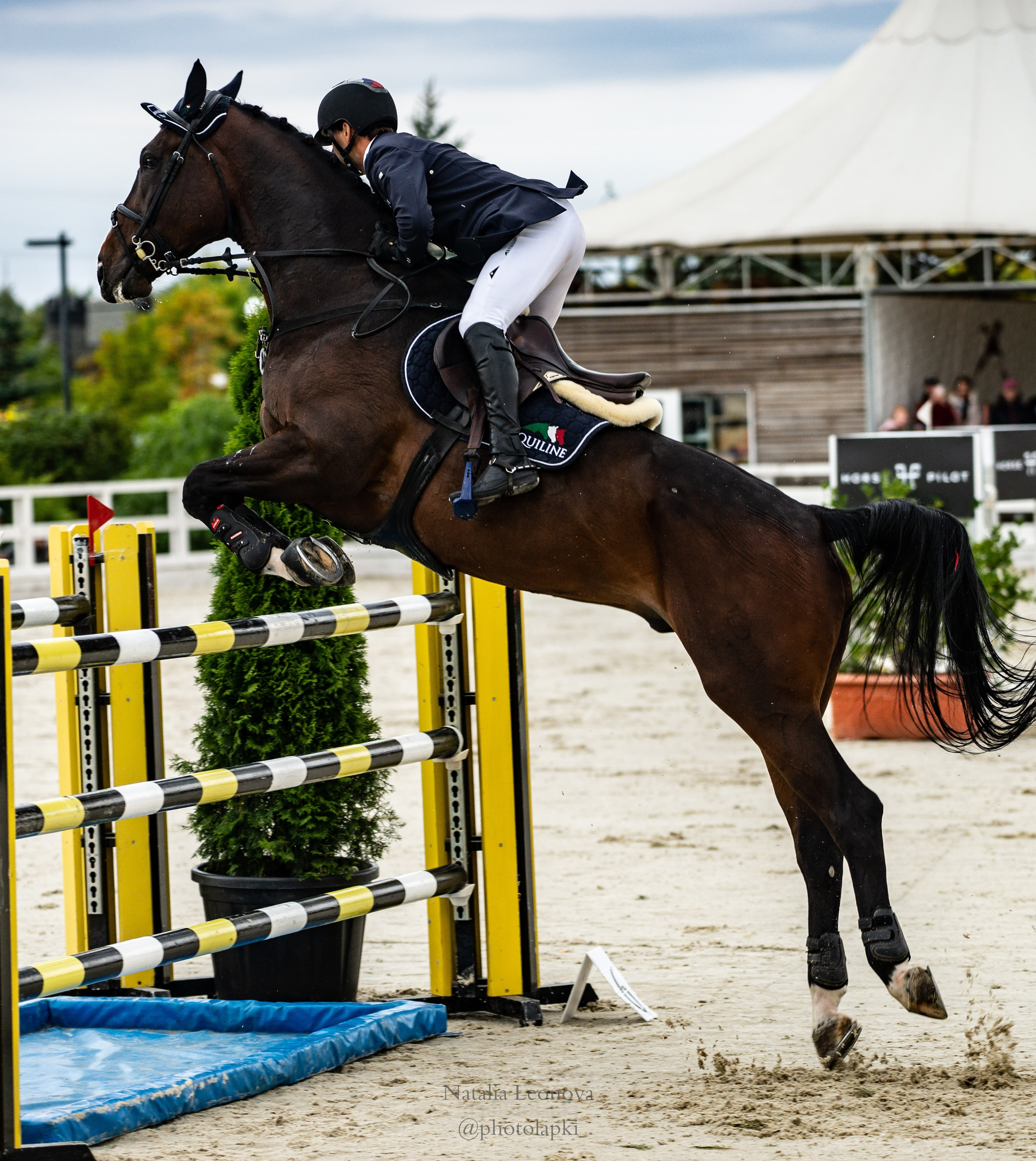 HORSE JUMPING. Фотограф Наталья Леонова