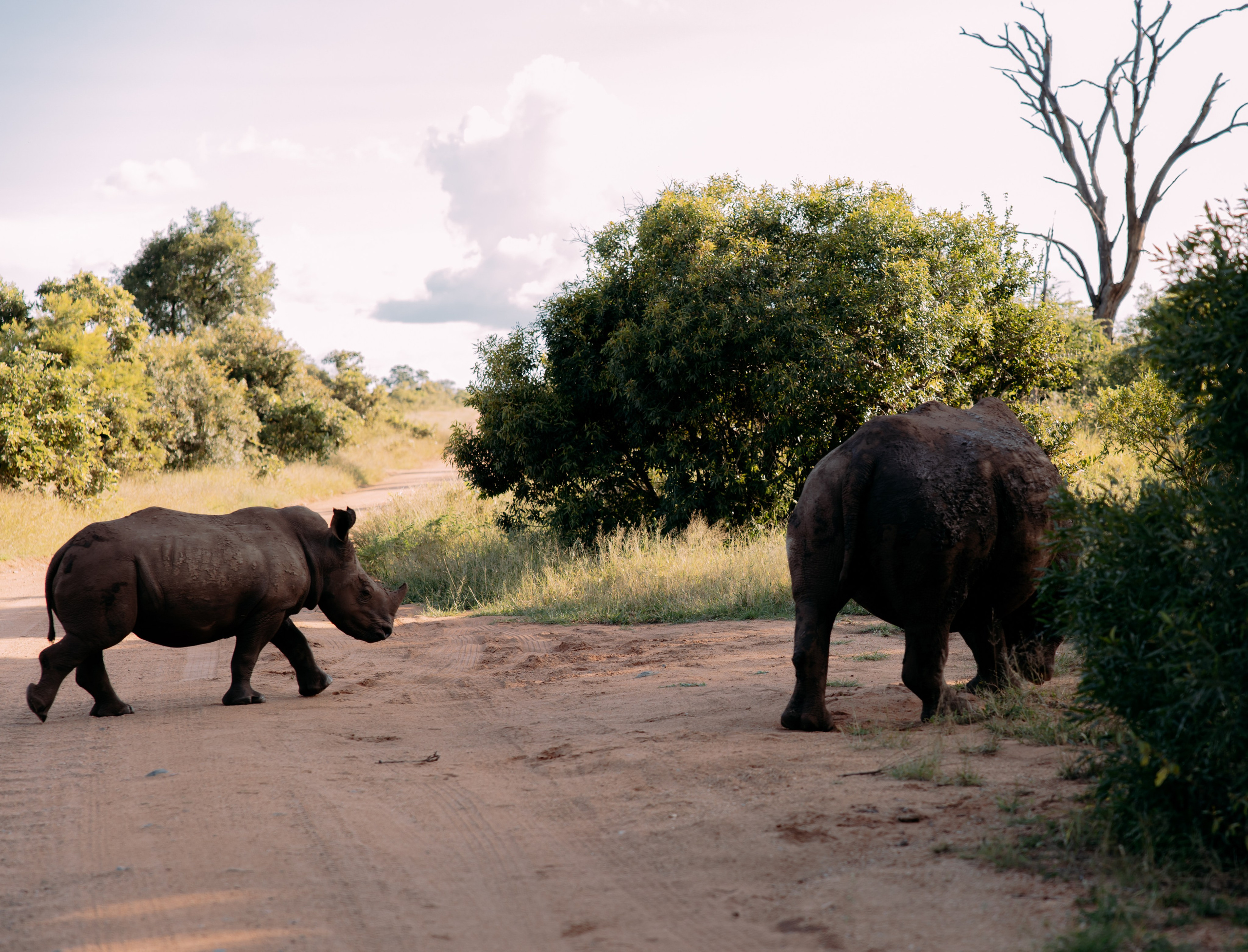 ФОТО ТУРЫ ПО МИРУ. Фотограф Марина Аблаева-Кожедуб