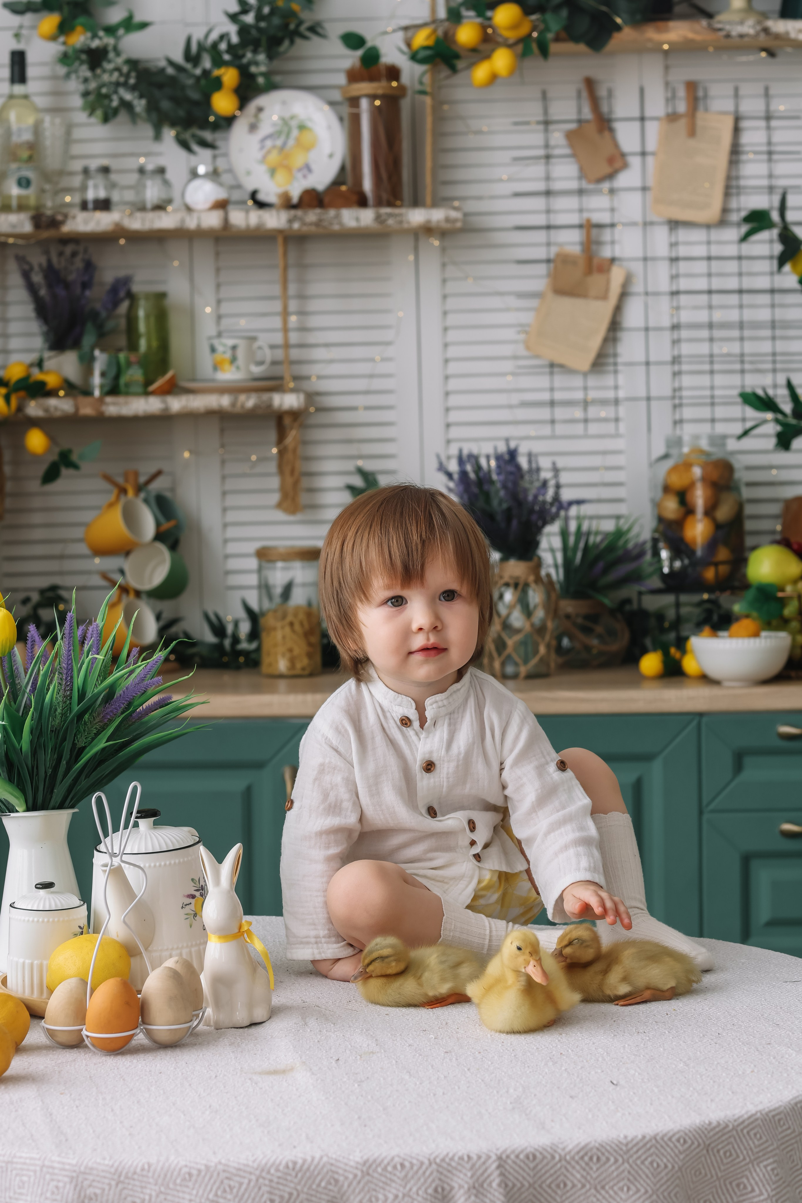 Утята. Фотограф и видеограф Анна Домашенко