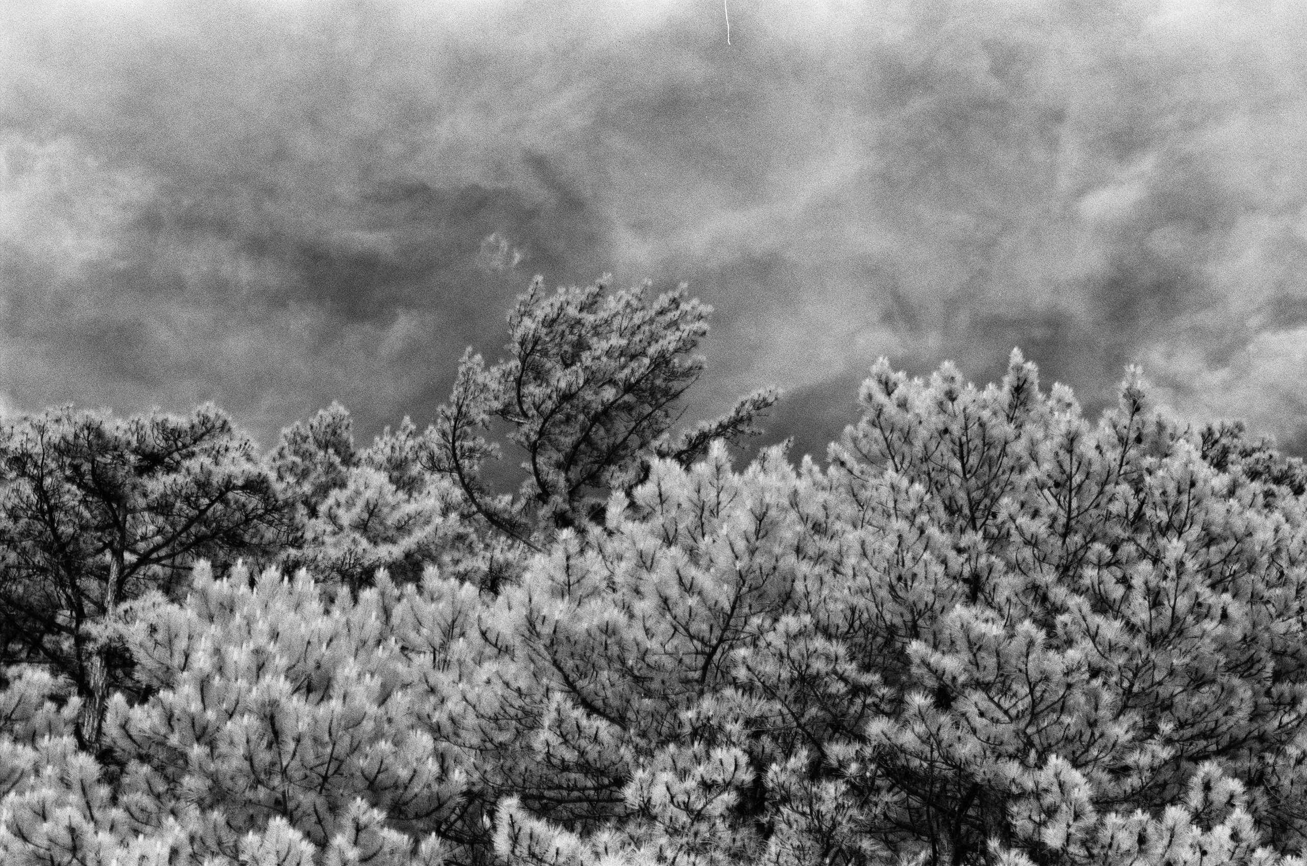 Point of no reply // ukraine, crimea VII. EVER EXPOSED