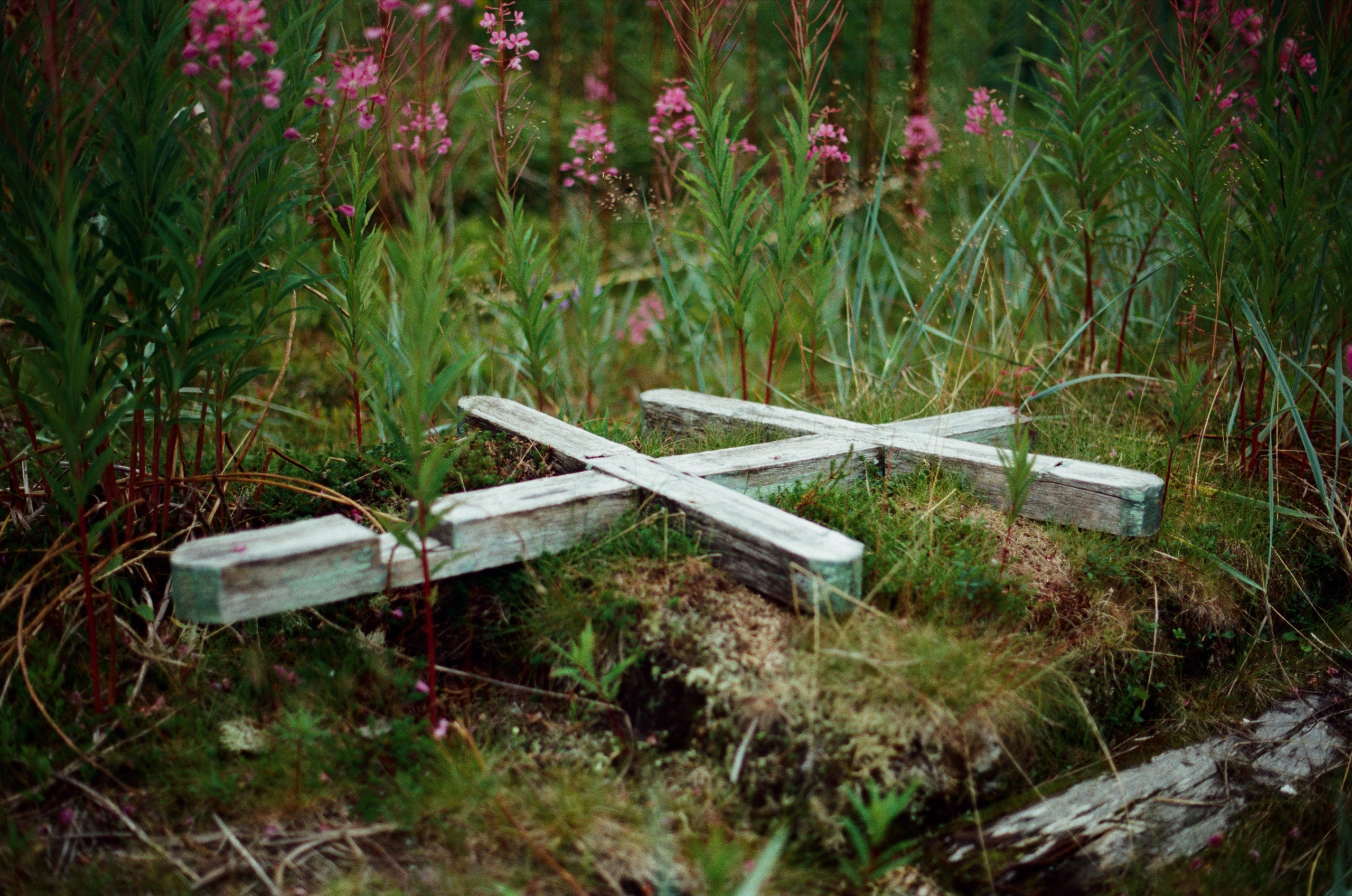 High and dry // teriberka. EVER EXPOSED